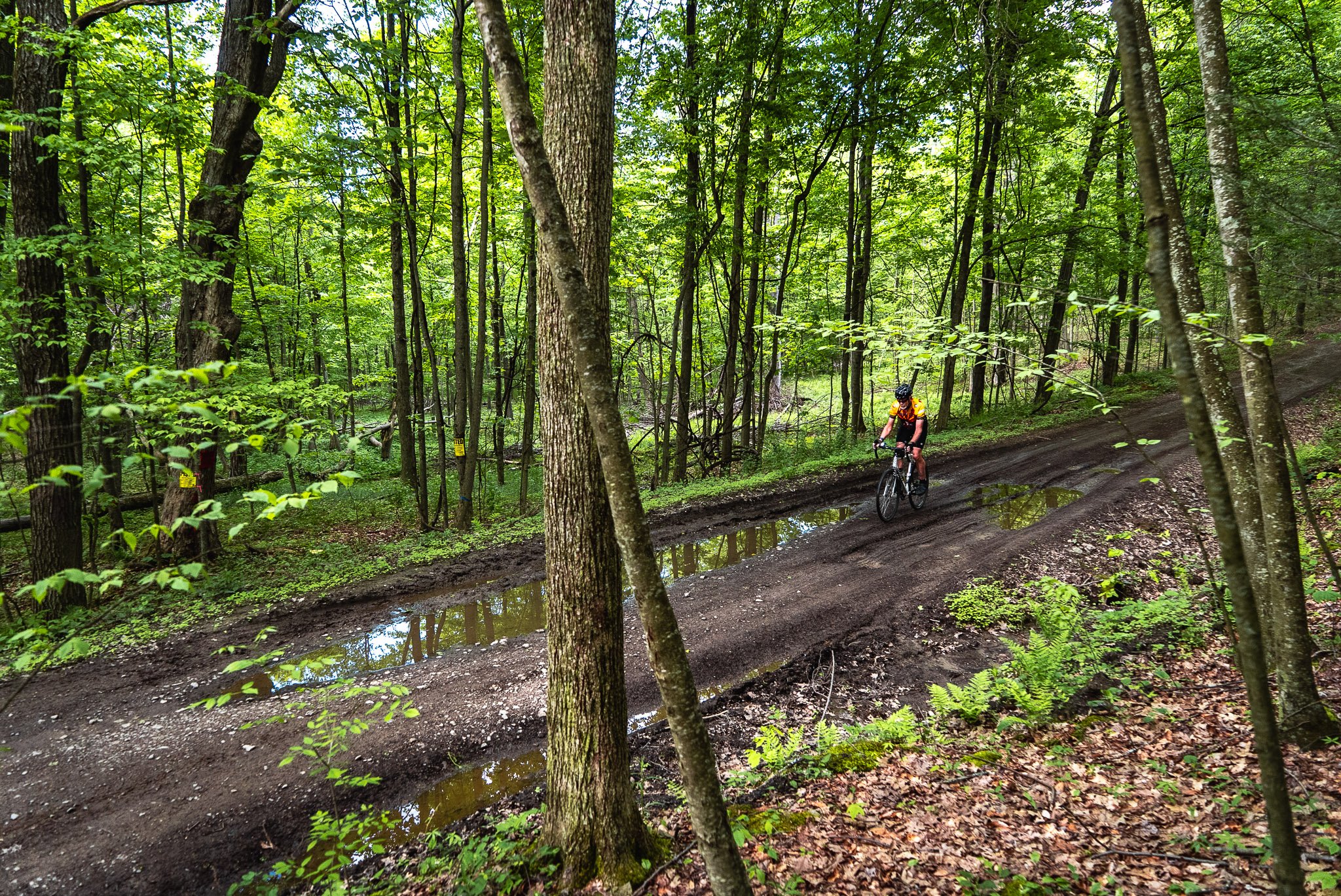 Sayre: High and Low on the Chemung