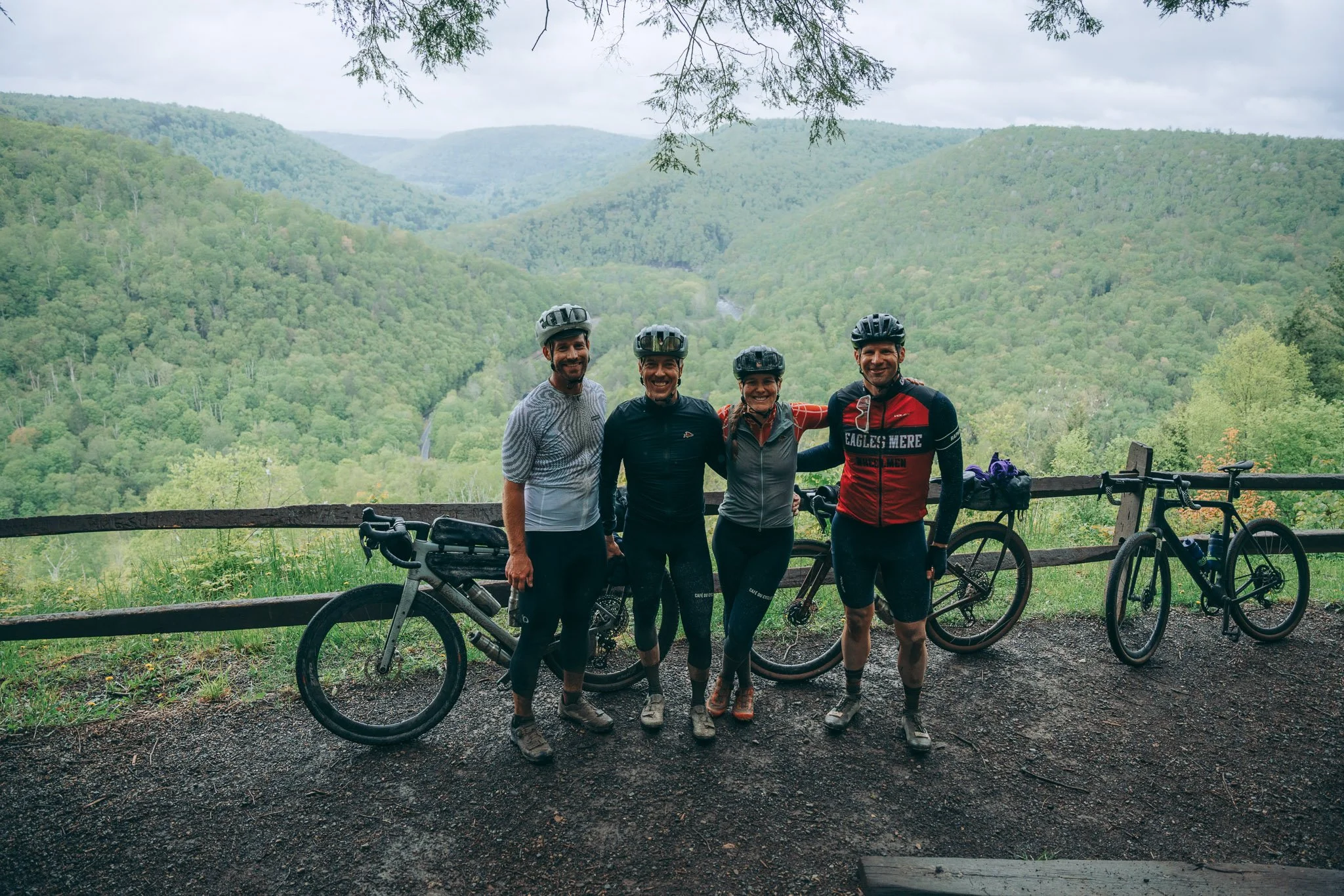 Worlds End: Loyalsock Canyon Vista