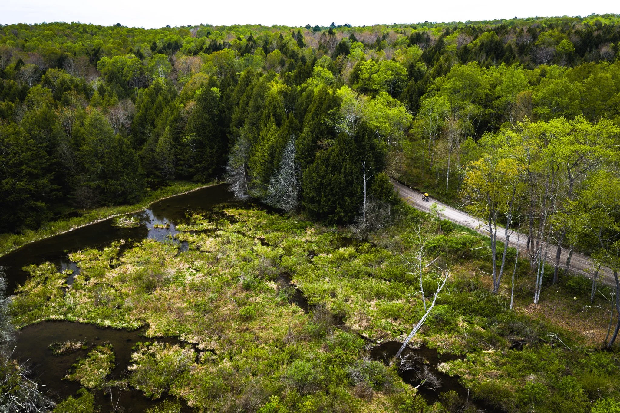 Dushore: Creekside Explorer