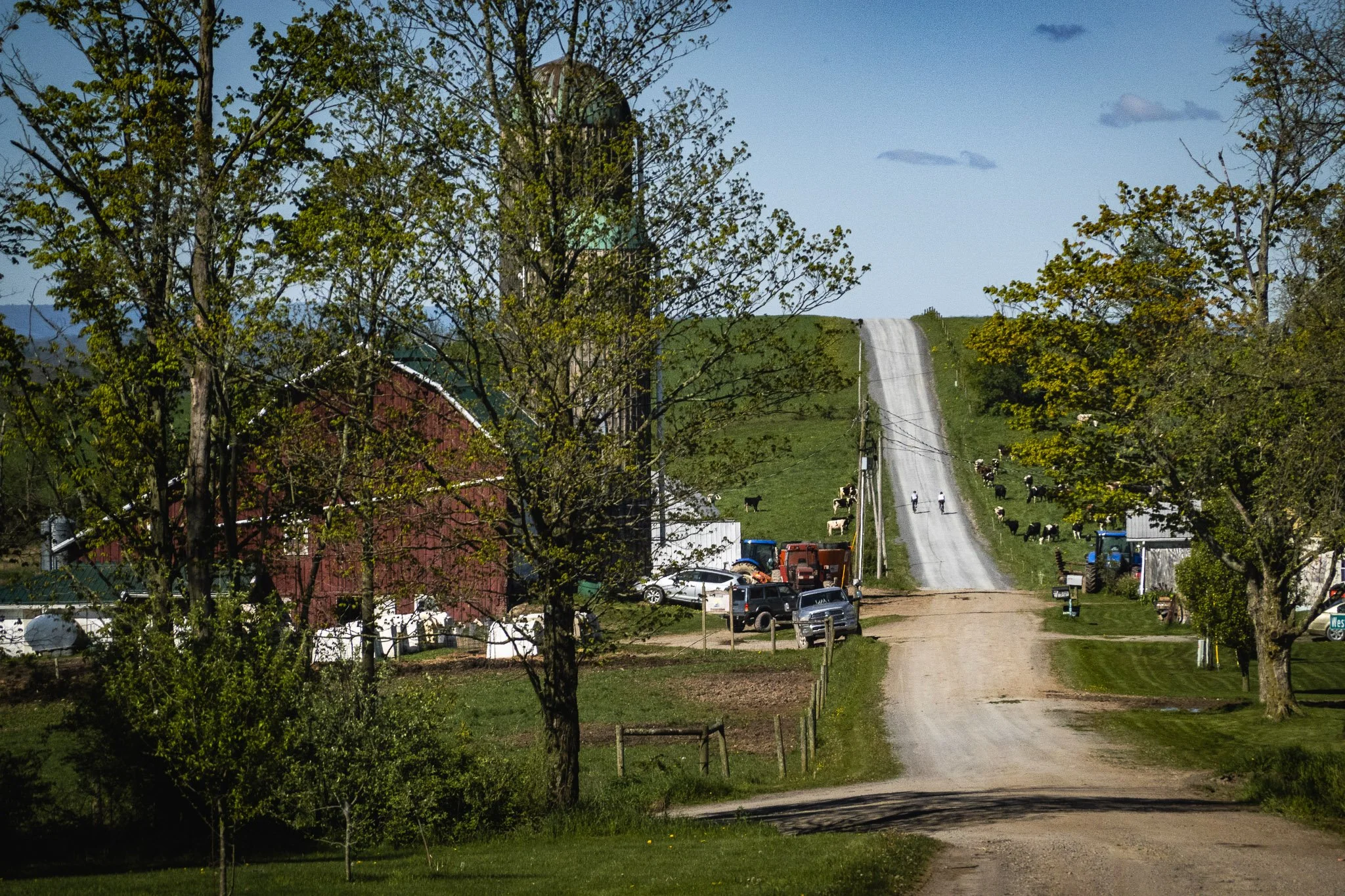 LeRaysville: Candy Walls, Stone Walls