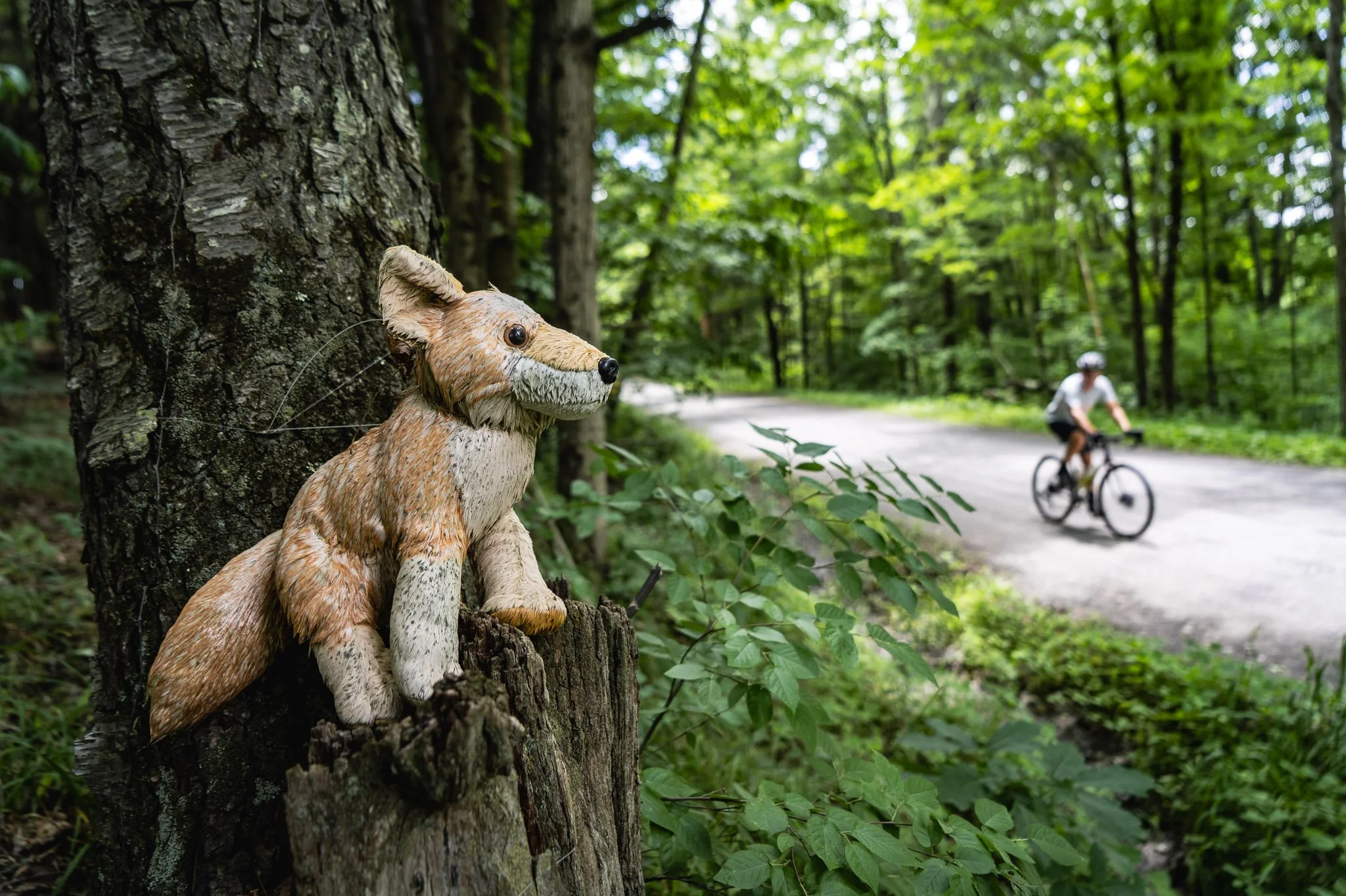 LeRaysville: Gritty Critters Rollerama