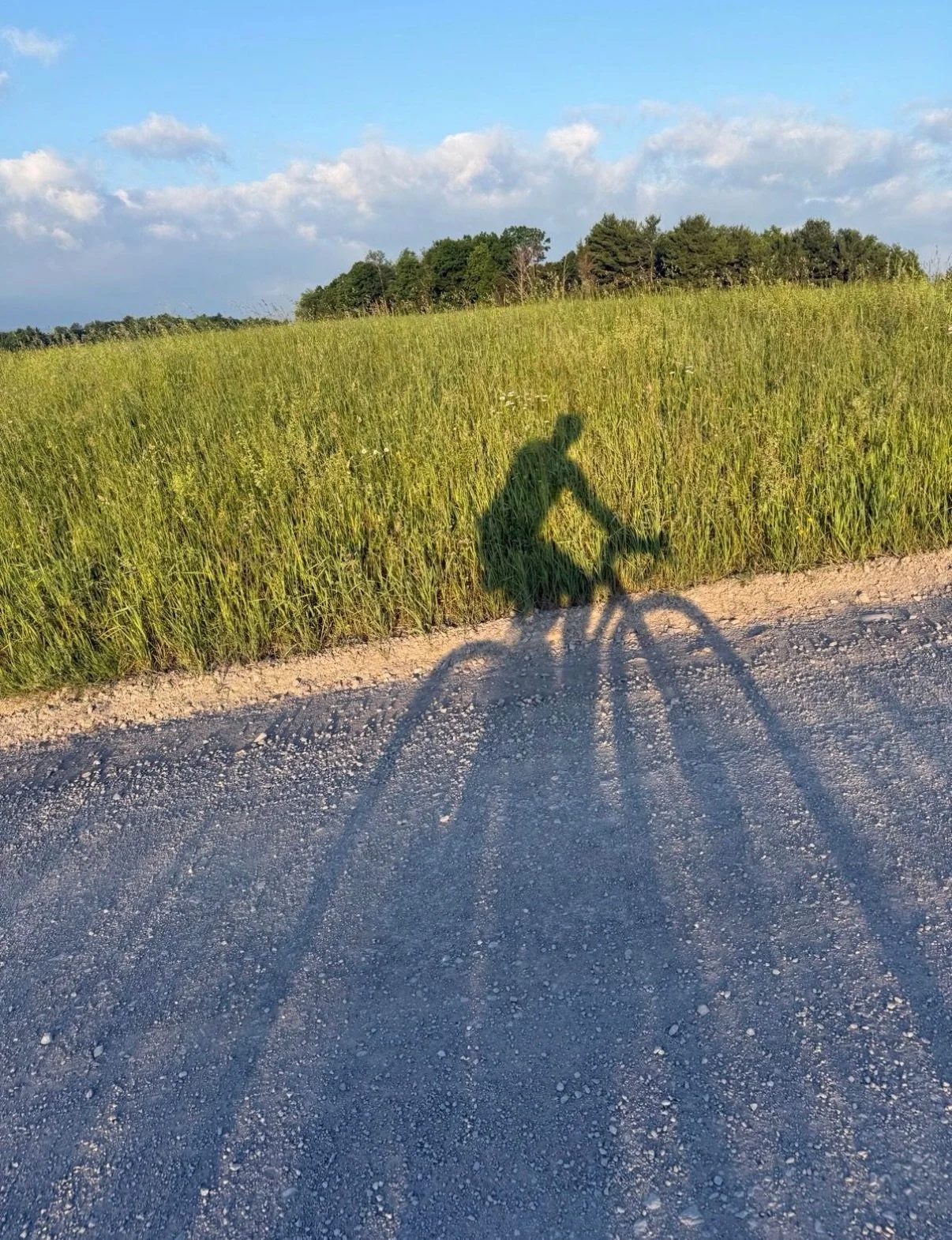 FKT Alert! The updated Endless Mountains 115 has a new Fastest Known Time. Local rider Jeremy Regan went out earlier this week and established the FKT of the new route at 9h 22m 24s.

&ldquo;That climb up Leroy Mountain at mile 84 put me to my max ab