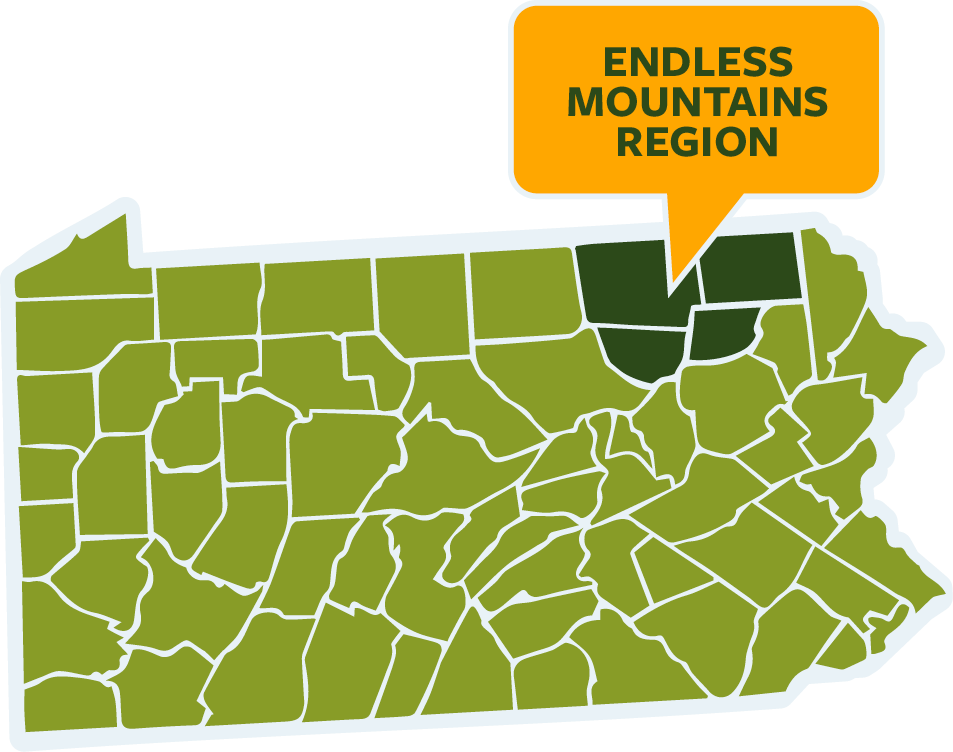 Map of Kentucky with regions highlighted in different shades of green, and a speech bubble pointing to the northeastern area labeled 'Endless Mountains Region' in orange.