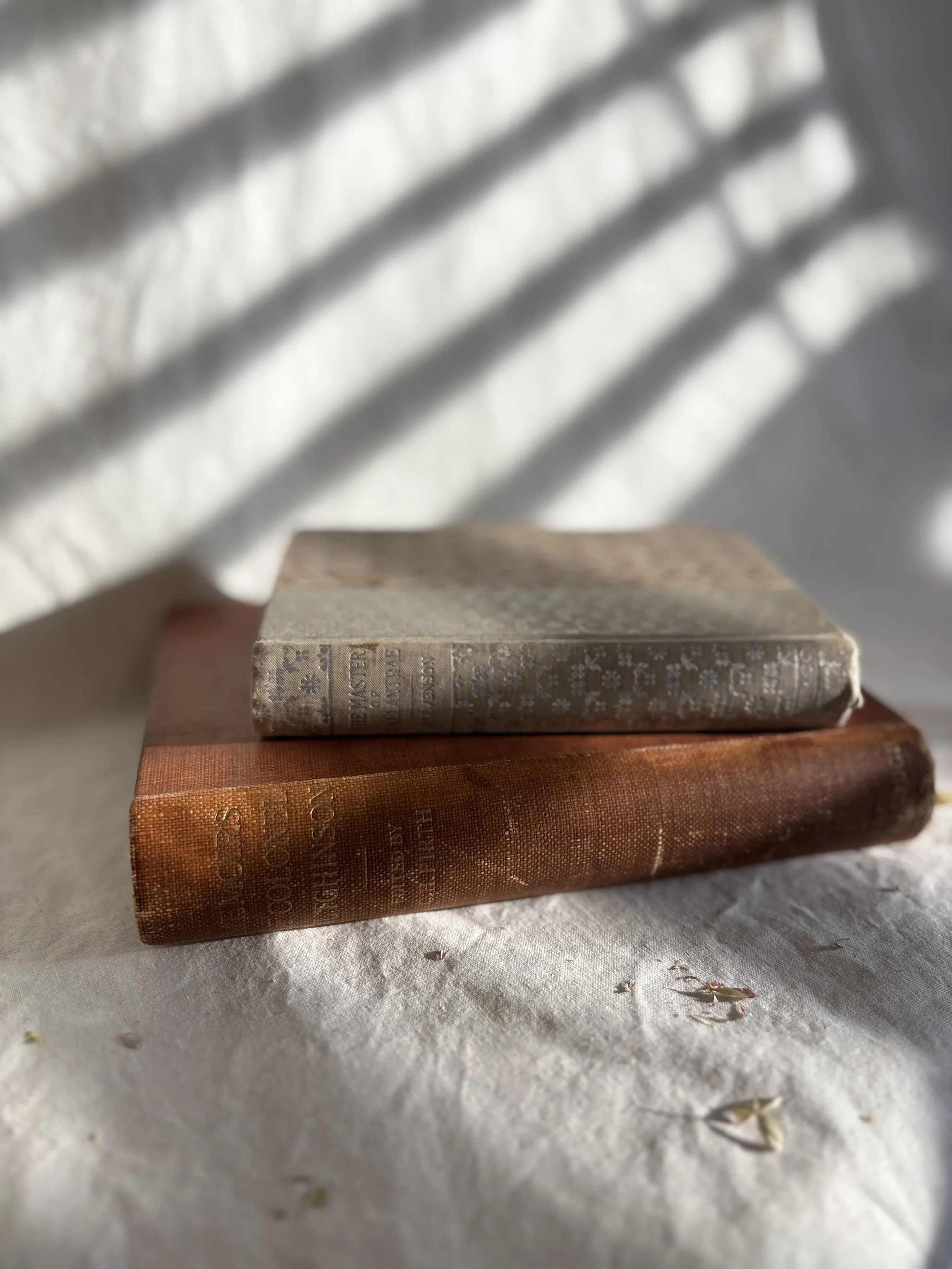 Antique Book Set #1