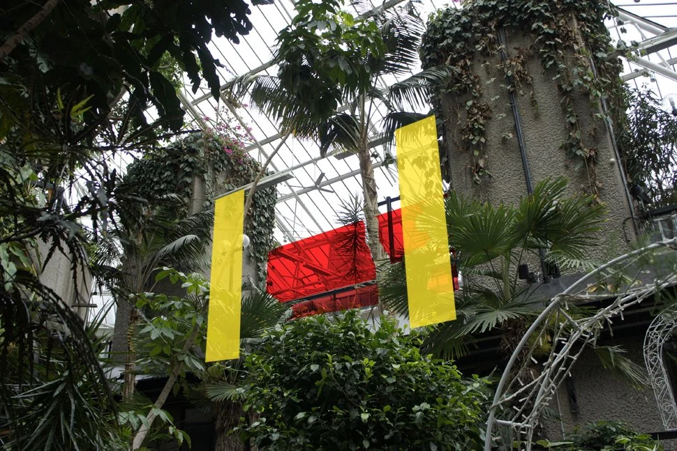 JA Projects 2020 ©_Pineapple Island_Sketch_02.jpg