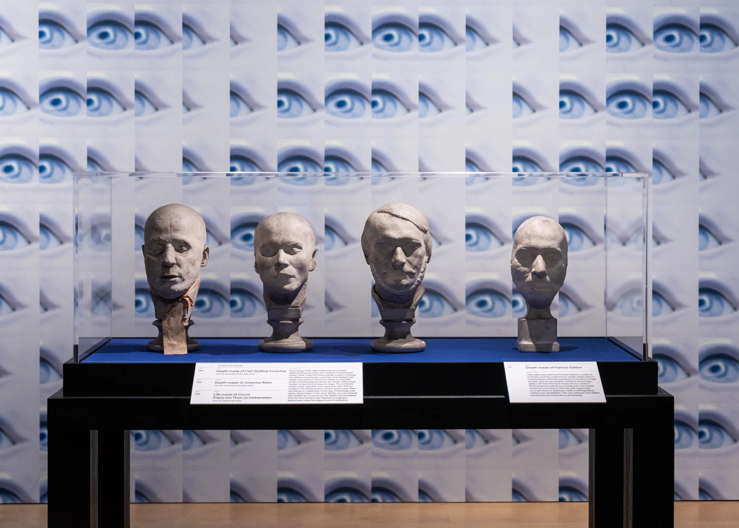 JA+Projects+2023+©Steven Pocock_Wellcome_Genetic_Automata_0005small.jpg