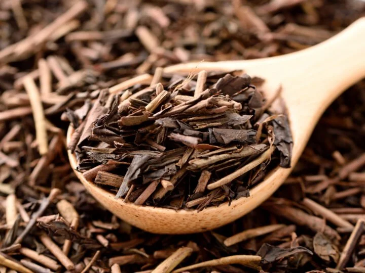 Hojicha Tea