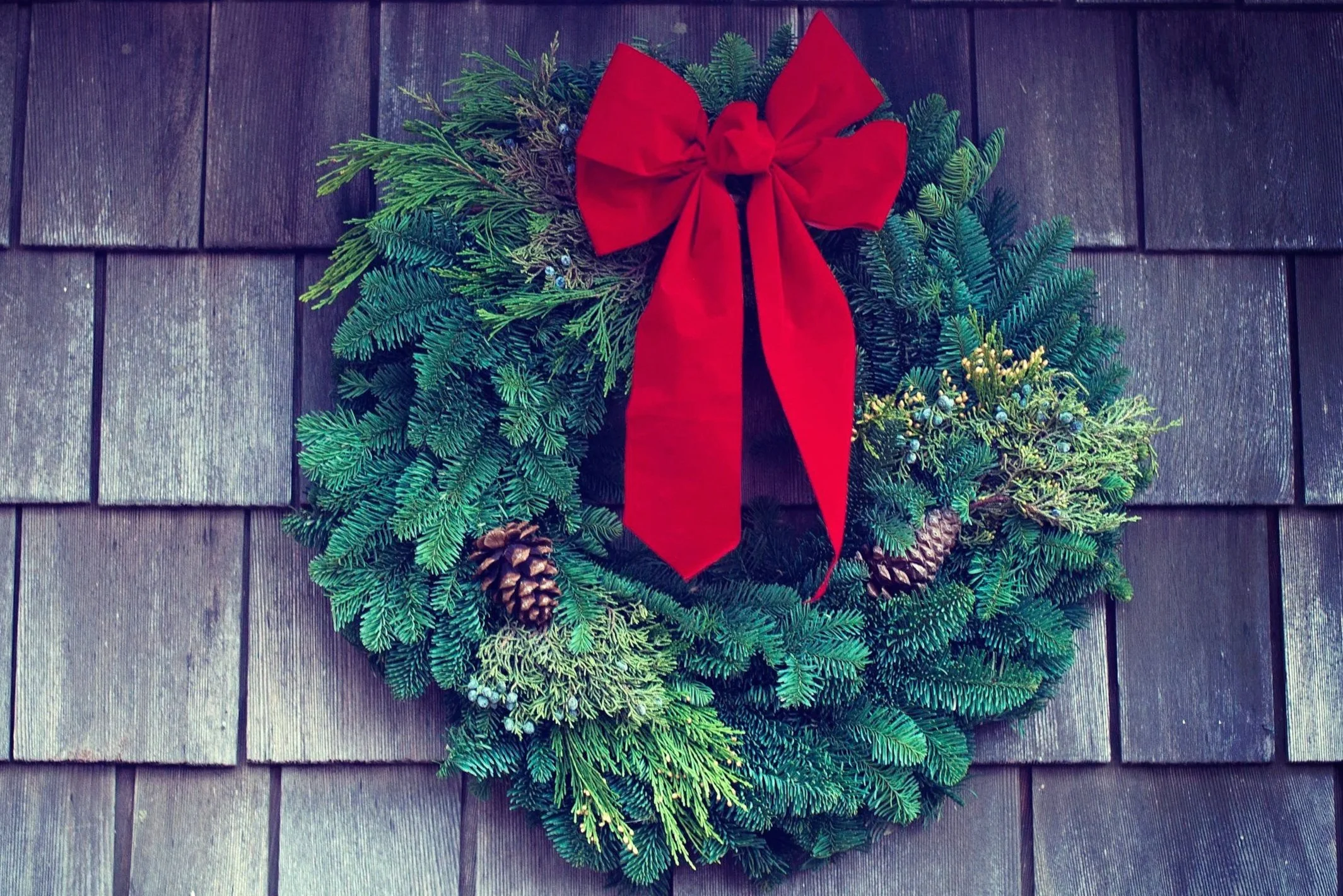 Holiday Season Happenings