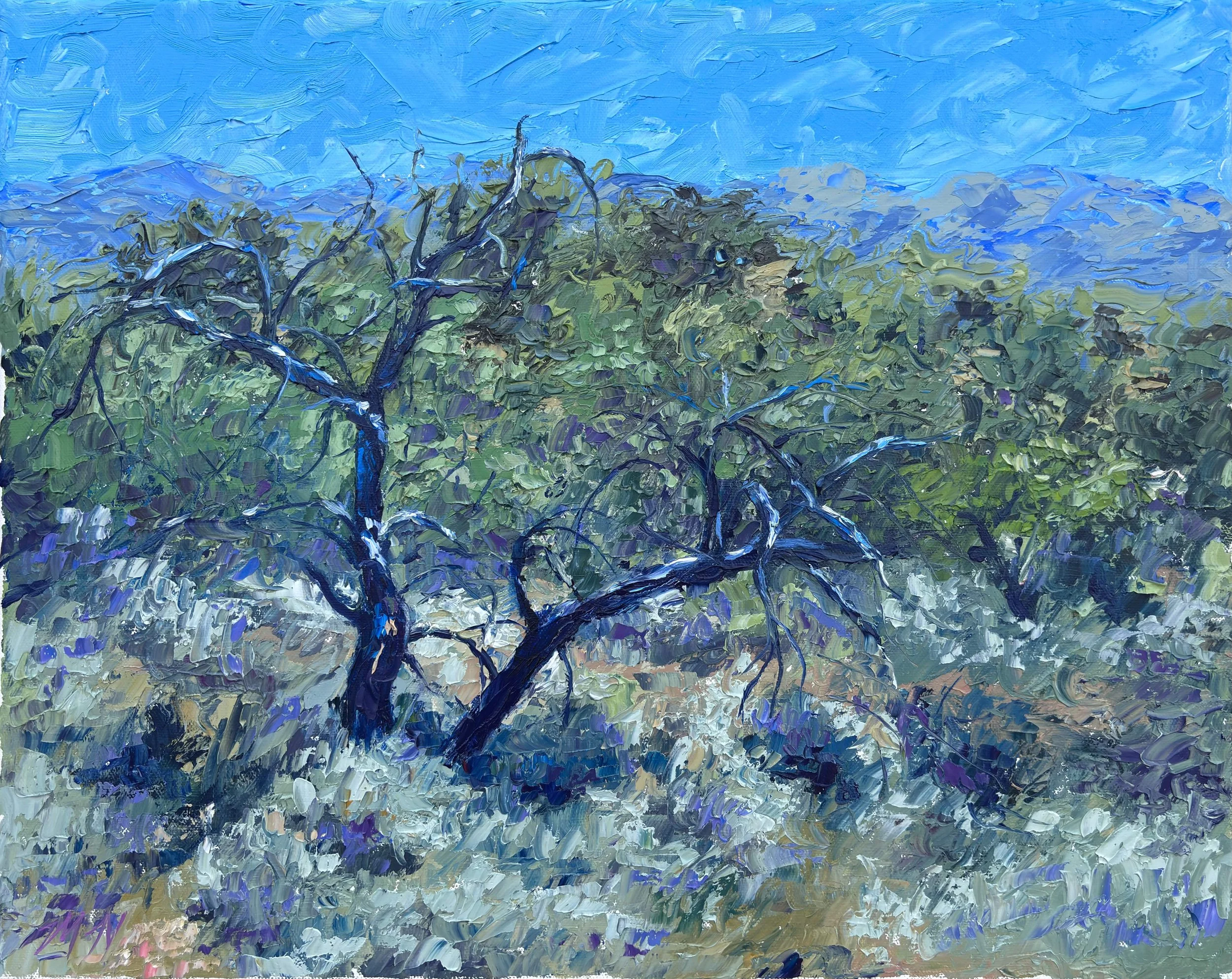 Desert Resilience