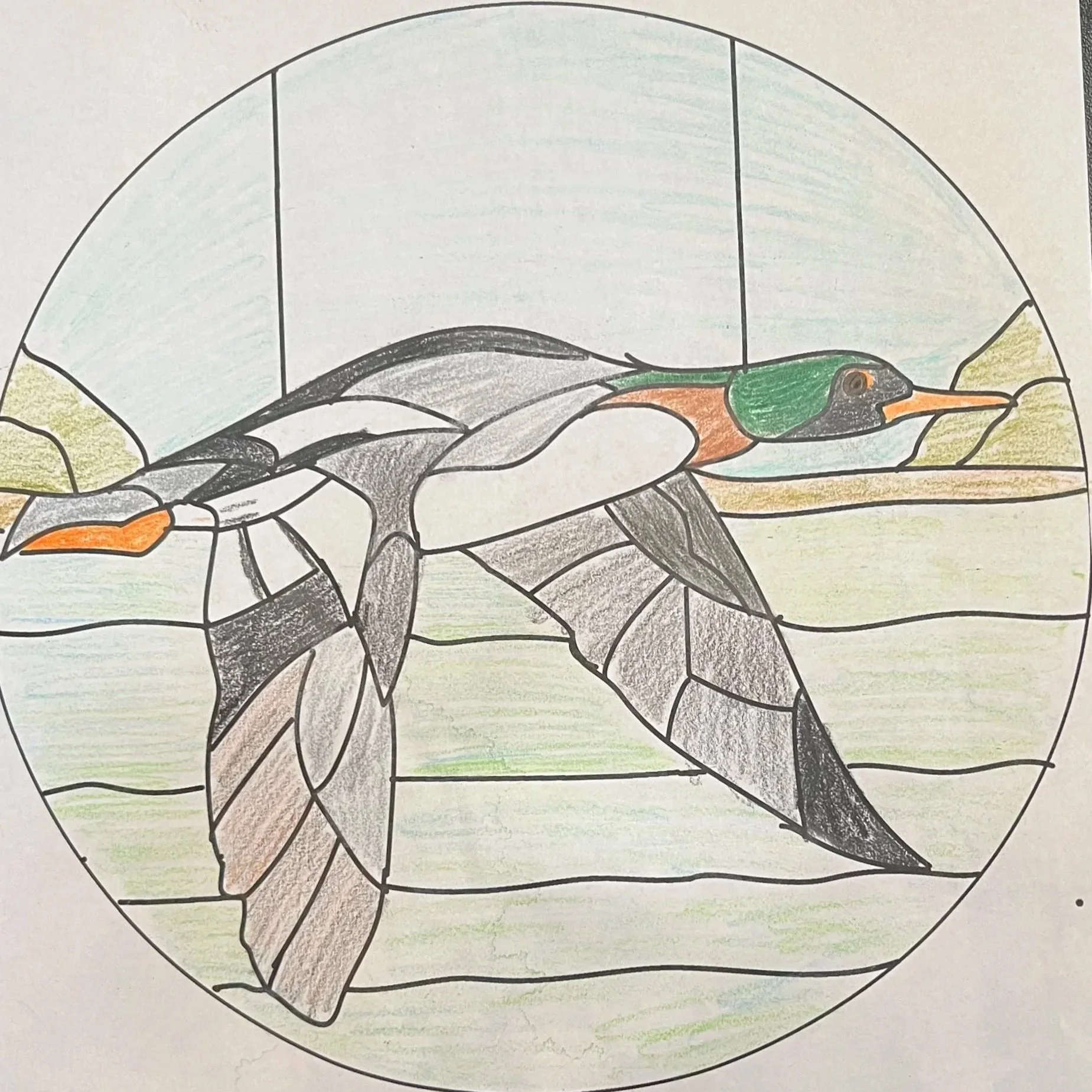 Colorful drawing of a duck with green, orange, and black markings on a yellow and brown background, contained within a circular frame.
