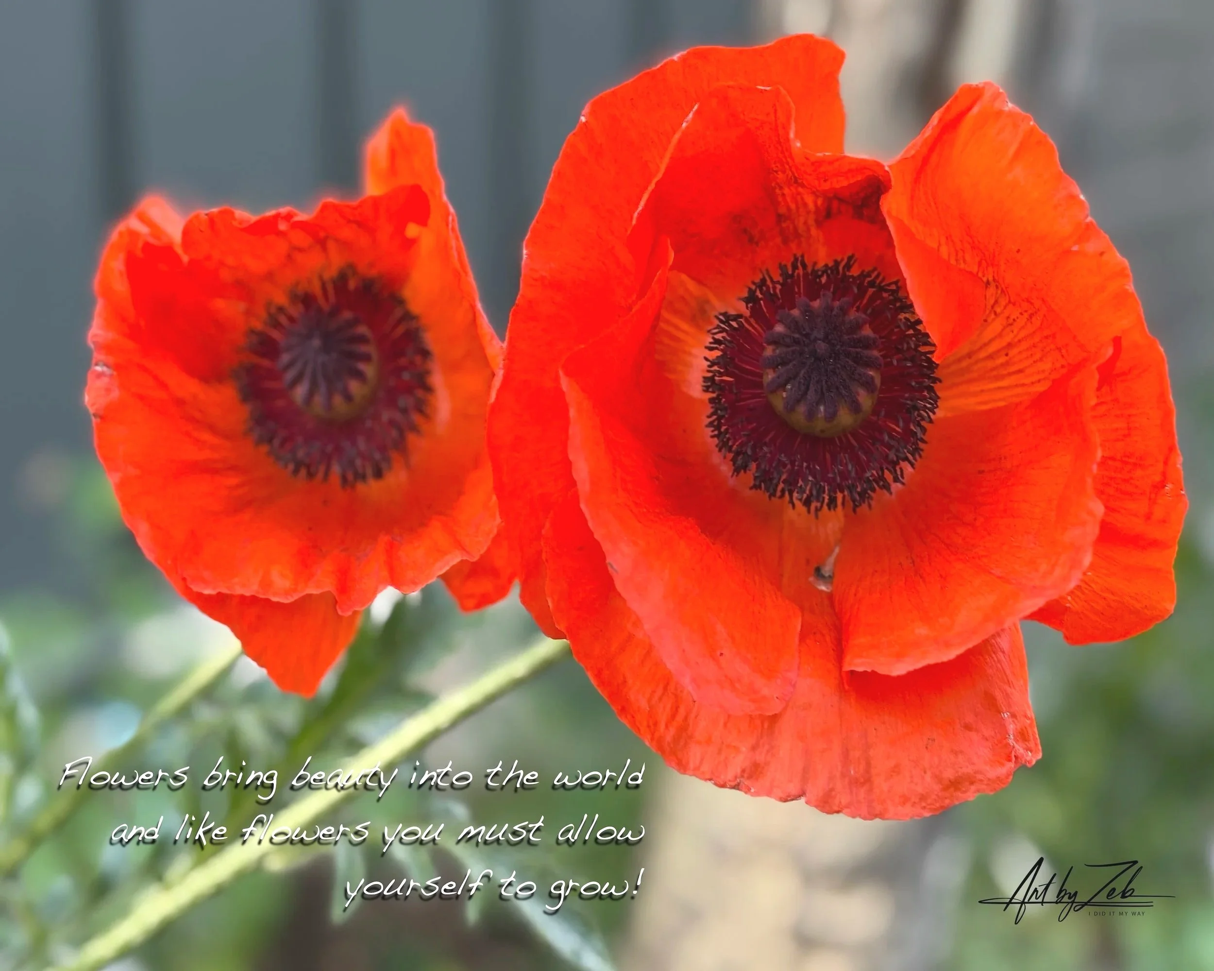 Flowers+2+Sept+9+copy.jpg