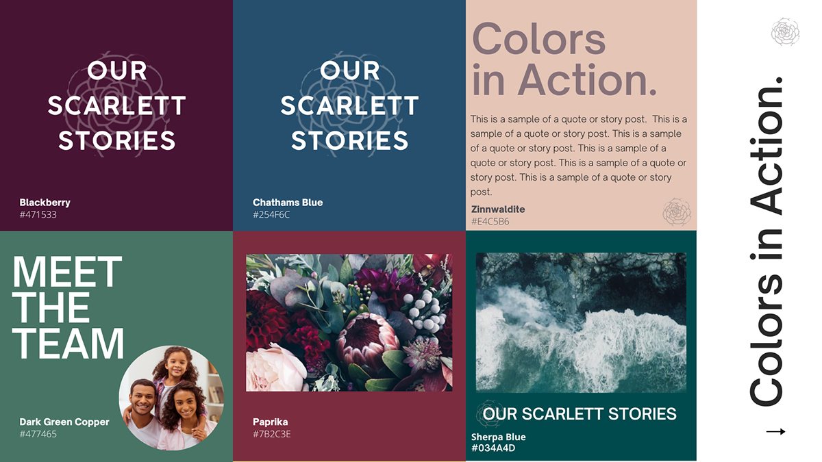 A graphic design collage featuring sections with color swatches, text, and images. Top left displays text 'Our Scarlett Stories' with a black cherry color swatch. Top middle has the same text over a blue swatch. Top right includes the title 'Colors i
