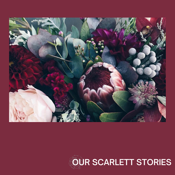 A close-up photo of a floral arrangement with pink, red, and purple flowers and green foliage, on a maroon background with the text 'OUR SCARLETT STORIES' at the bottom.