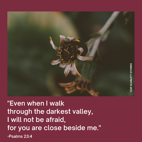 A withered flower on a stem with a blurred dark green background and a maroon border, featuring a quote from Psalms 23:4.