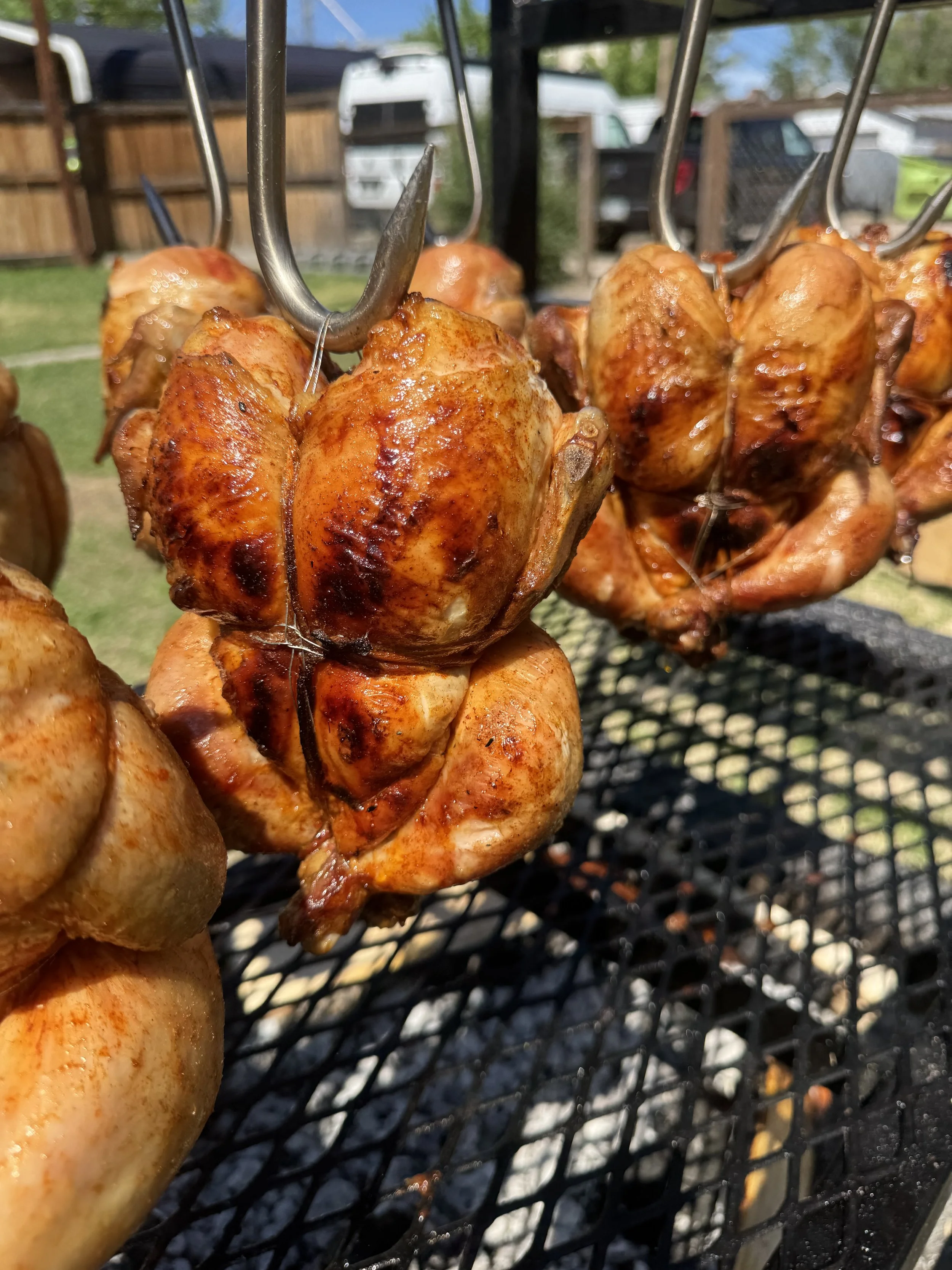 Close-up of several grilled chicken drumsticks hanging from metal hooks over a barbecue grill with a yard, wooden fence, and parked vans in the background.