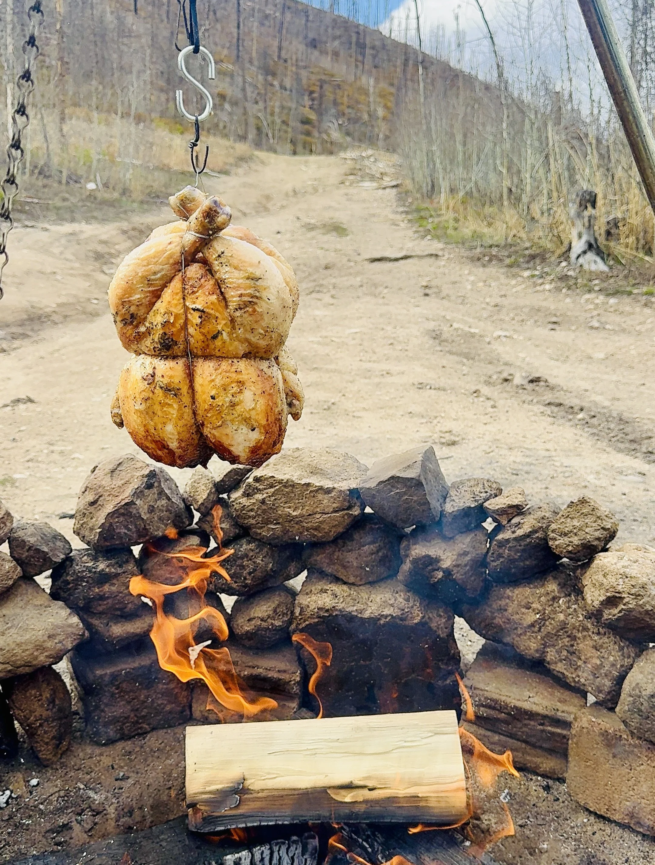 A piece of seasoned chicken roasting on a spit over an open fire, with rocks surrounding the fire and a wooded trail in the background.