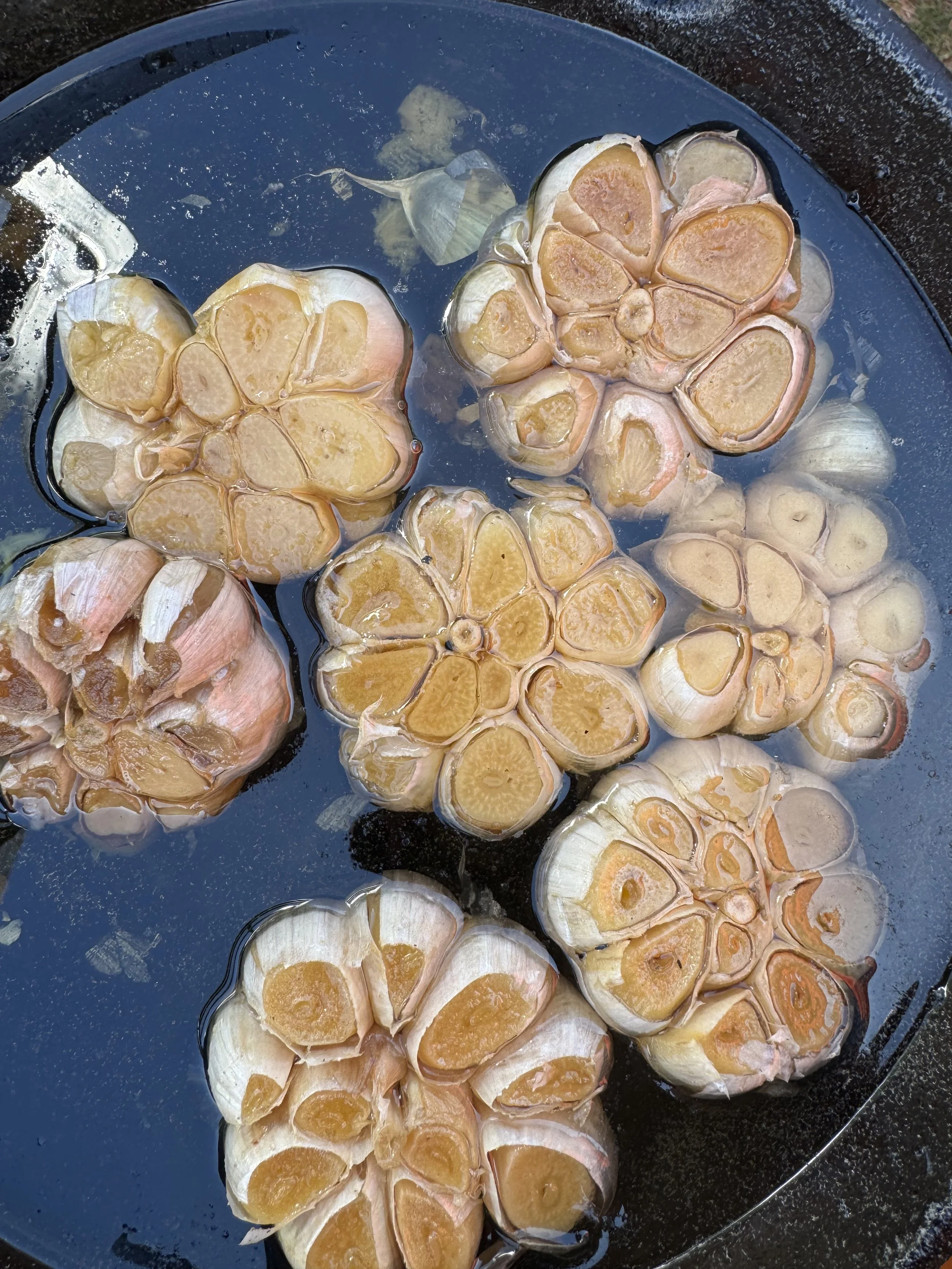 Cross-section of garlic bulbs submerged in water in a black container.