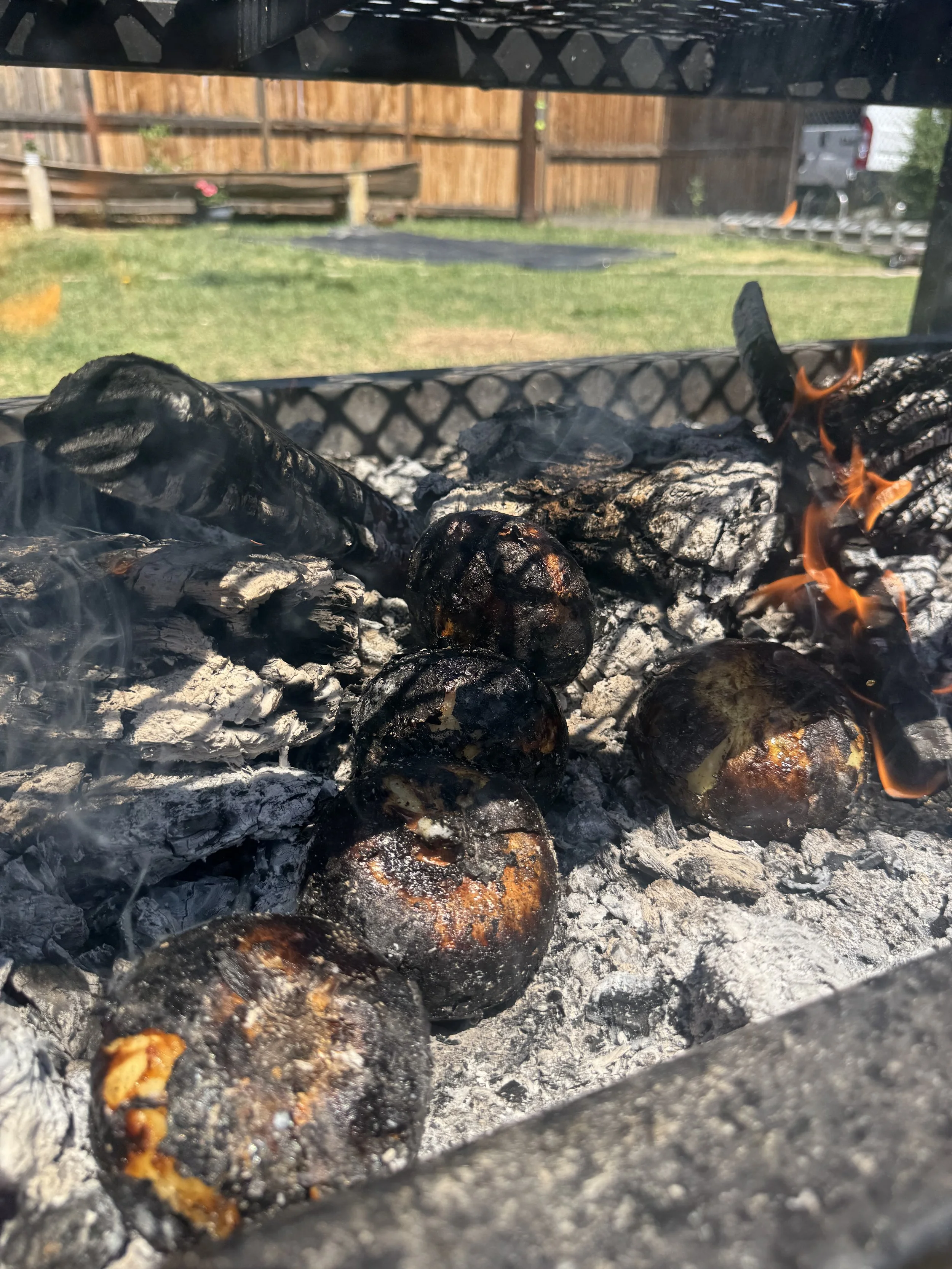 Charcoal grill with burning charcoal and charred food. Backyard with grass, wooden fence, and parked cars in the background.