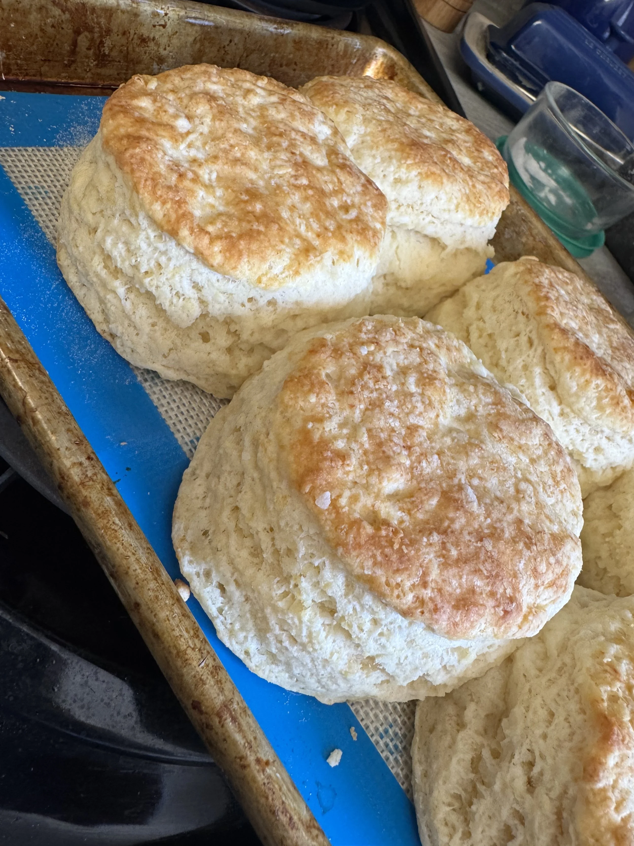 Freshly baked bread rolls on a baking sheet with a blue silicone baking mat.