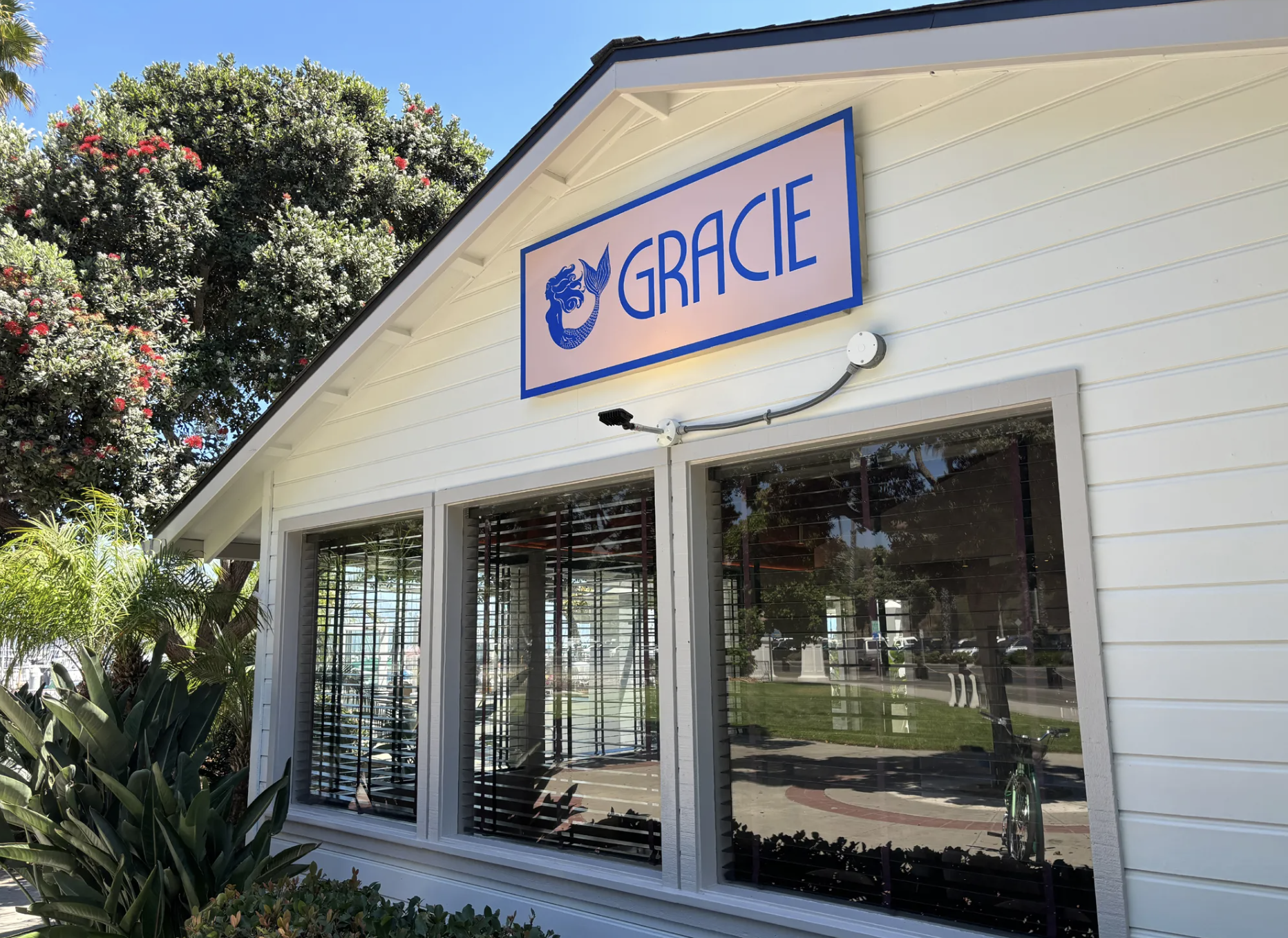 Gracie Front 2 (2).png