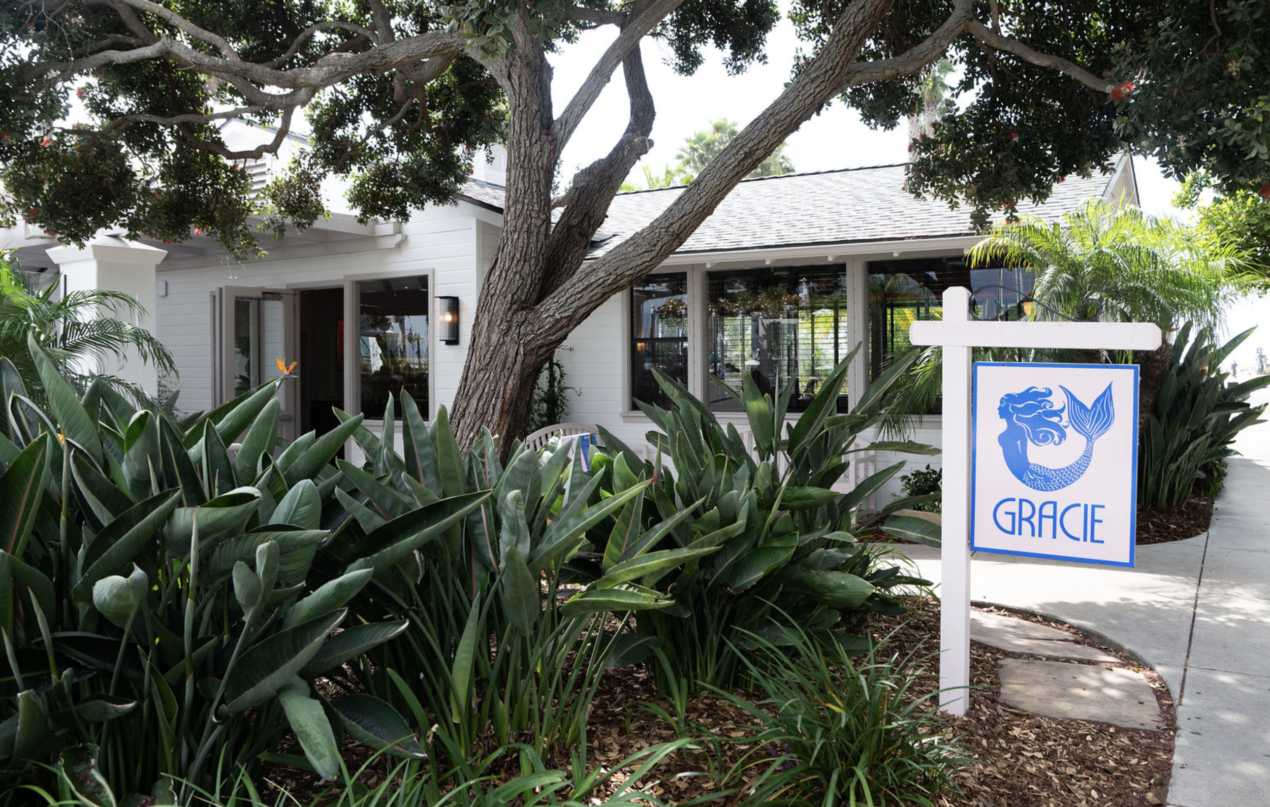 Gracie Front (1).png