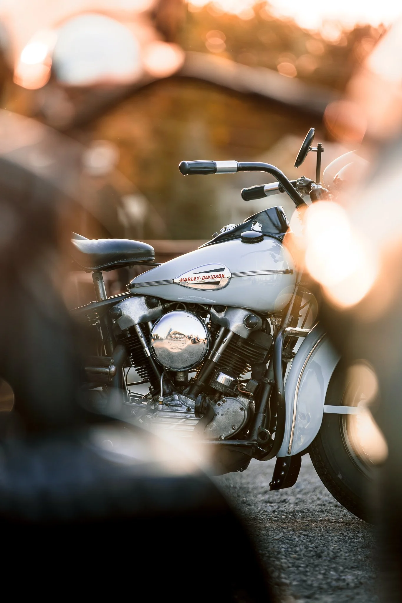 2025 Favorites-1.jpg