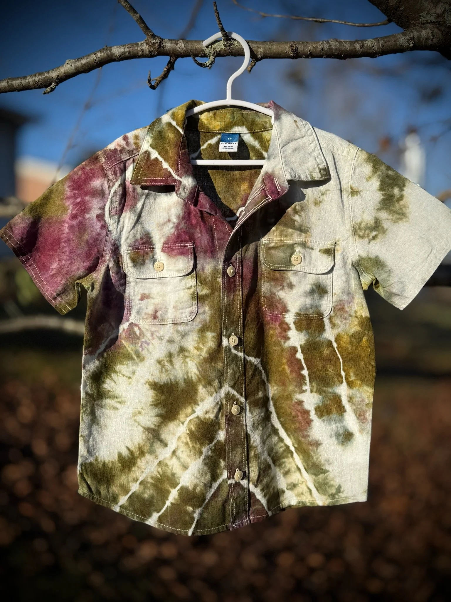 Plum Orchard Button Down 5T