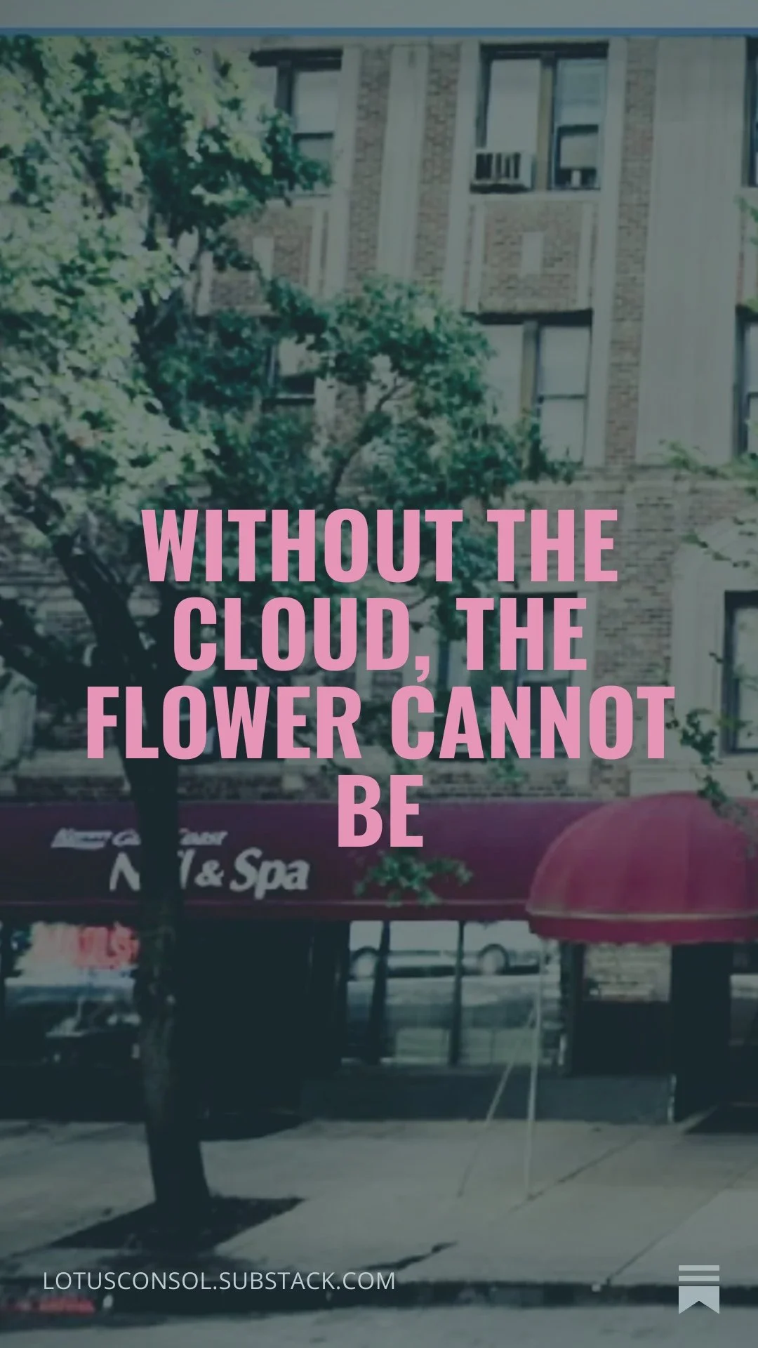 Without the cloud, the flower cannot be