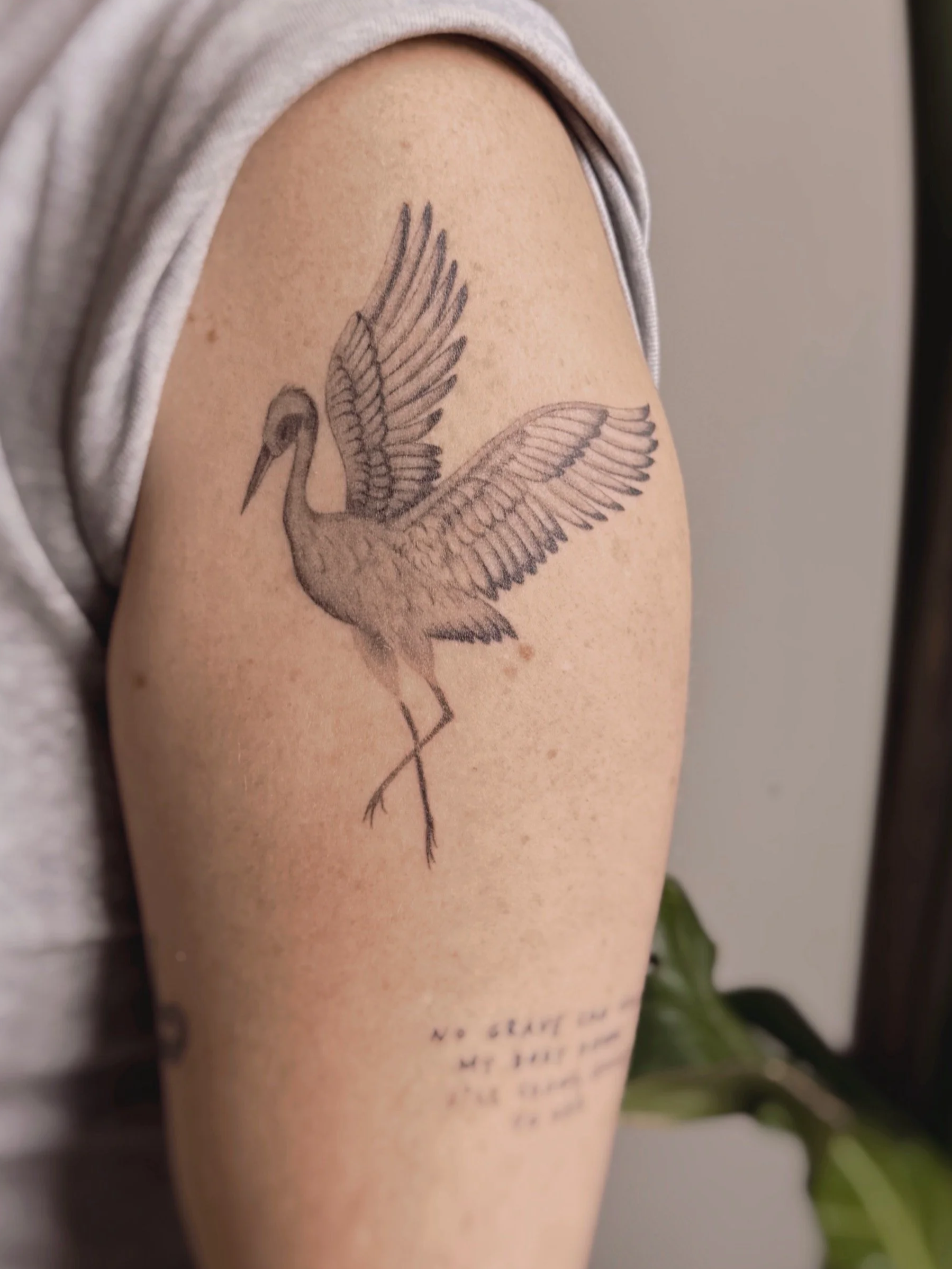 A microrealism illustrative crane tattoo done in black and grey on the upper arm.