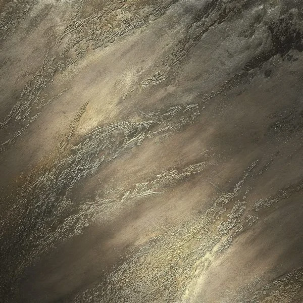 Close-up image of a textured, earthy surface with shades of brown, gray, and beige.