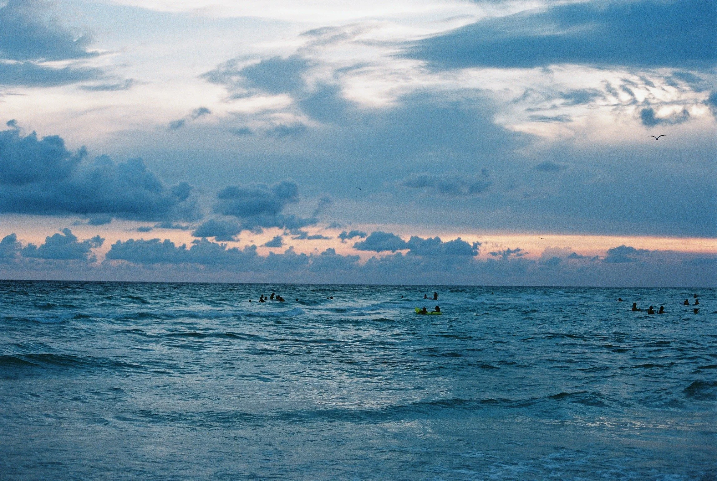 430209008653-R1-019-8_VSCO.jpeg