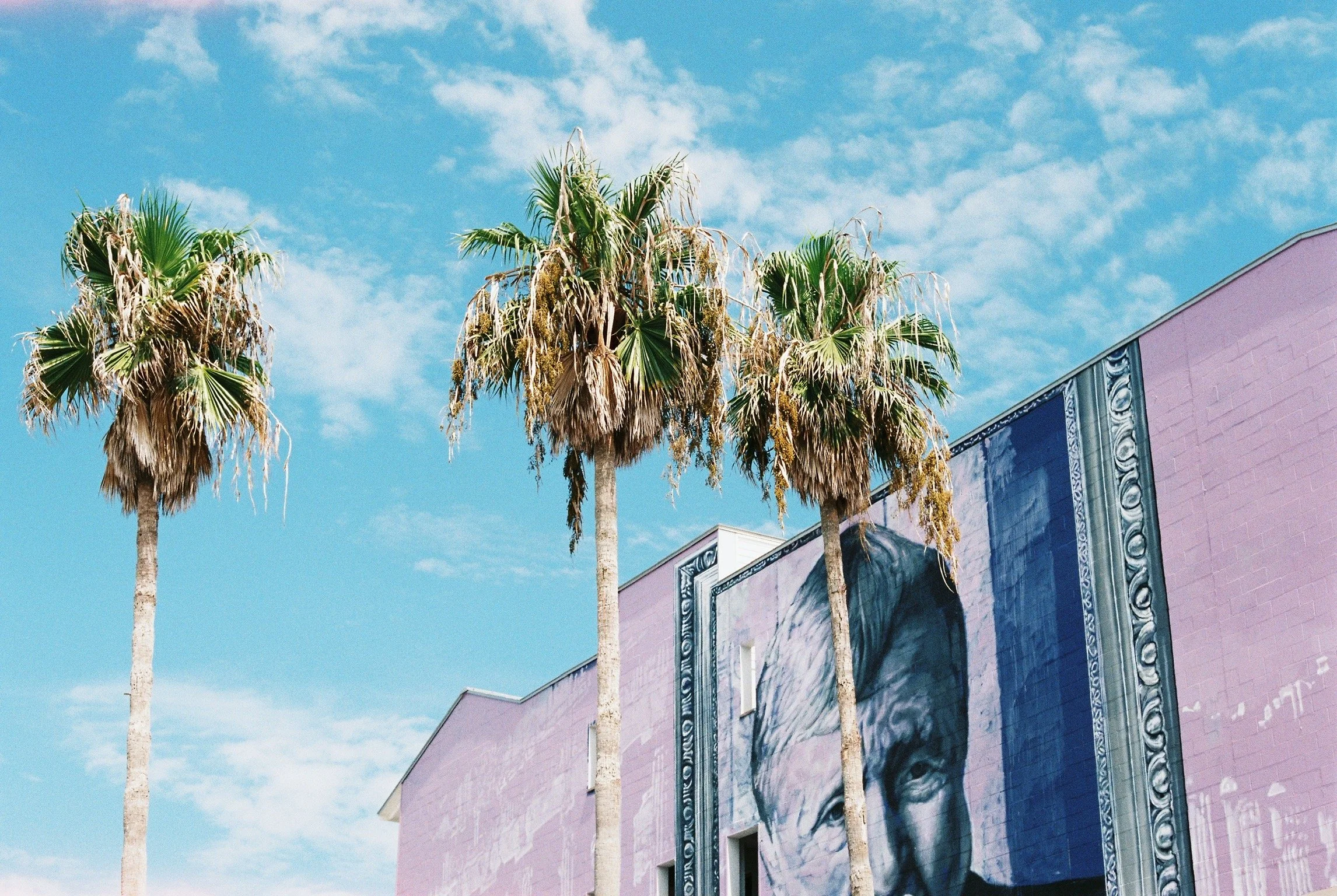 430209008653-R1-039-18_VSCO.jpeg