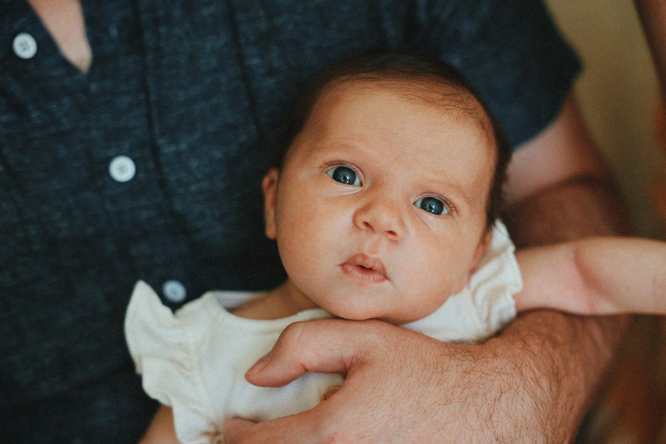 Charleston_1215_VSCO.jpeg