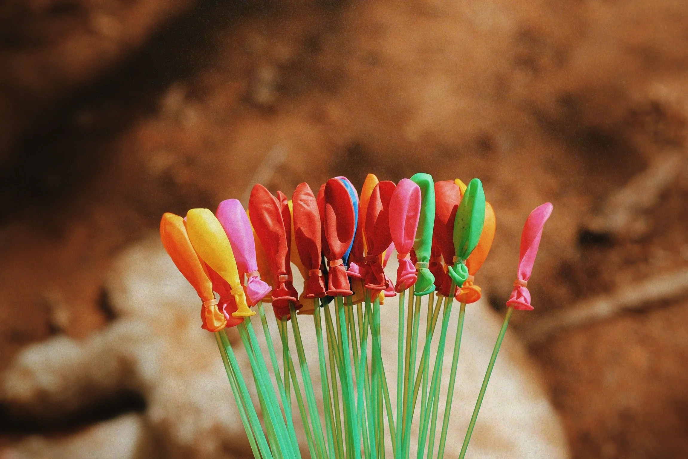 IMG_4309_VSCO.jpeg