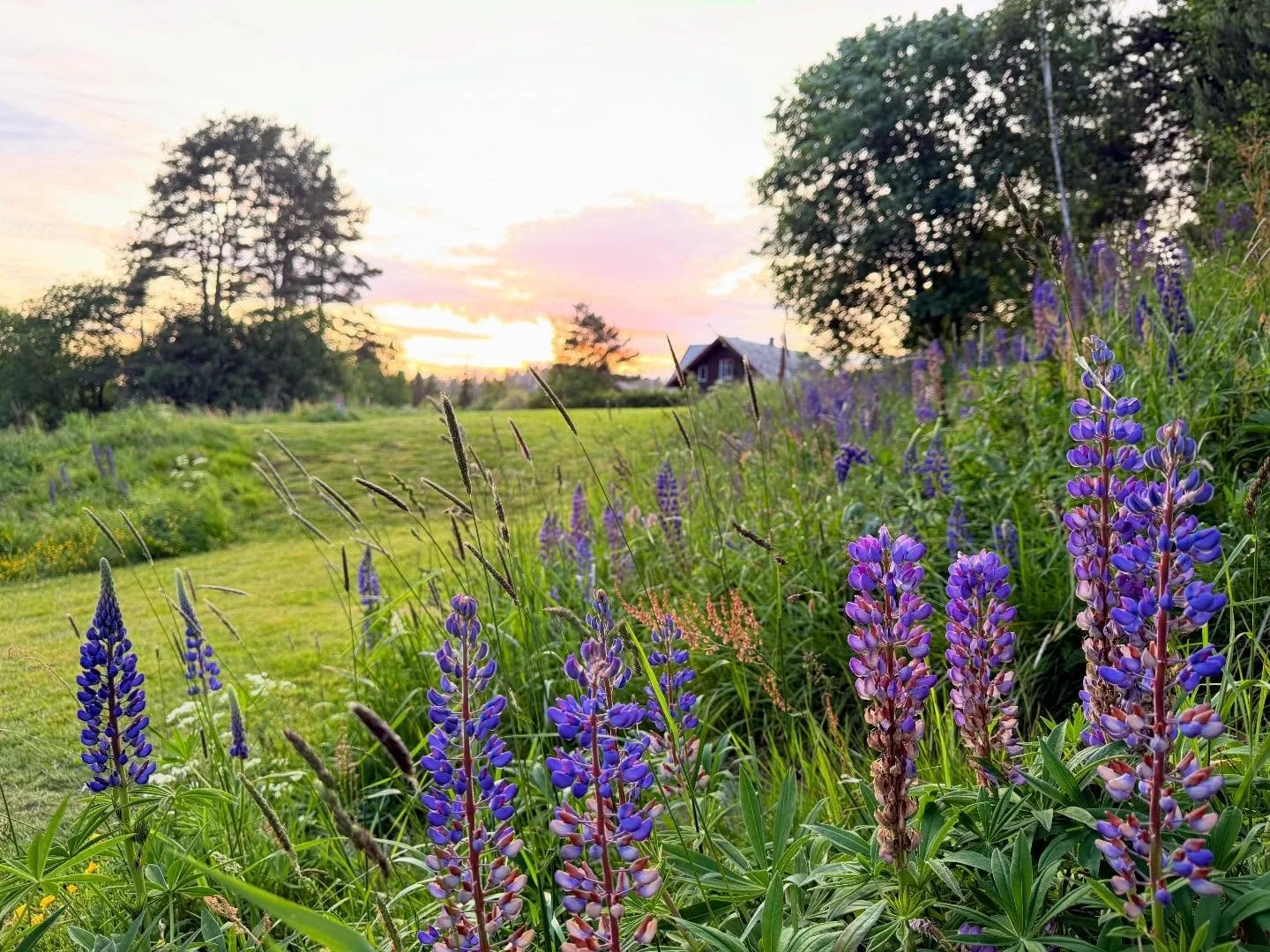 Let us take you on an adventure with stunning views like these ✈️🌄