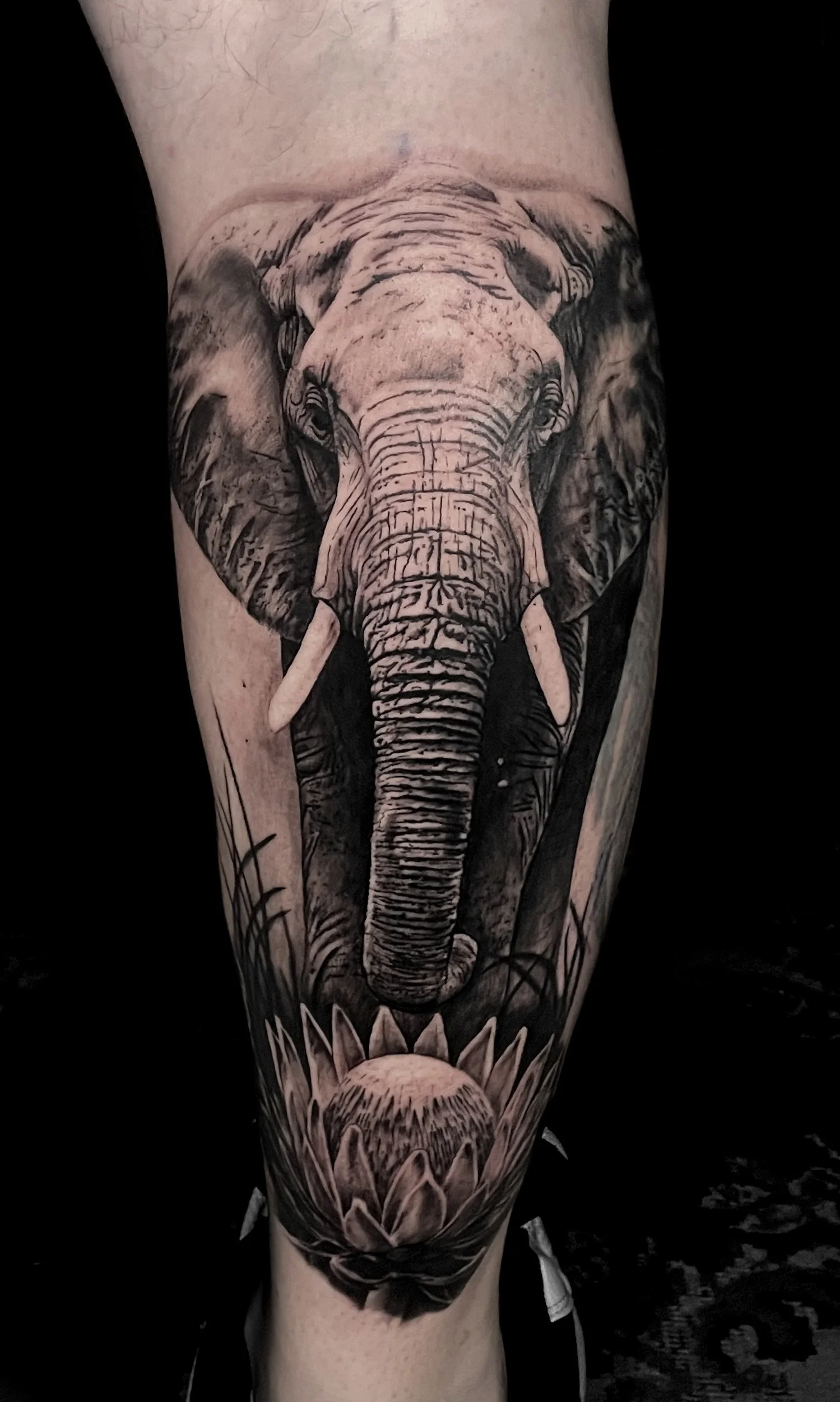 Black and gray tattoo of an elephant's head with detailed shading, positioned above a large flower or water lily on a person's leg.