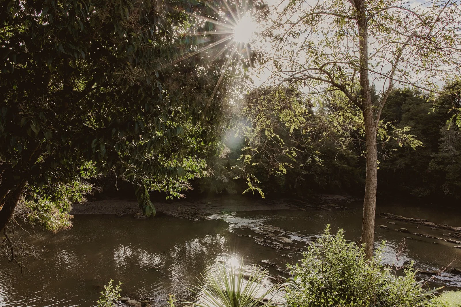 View from The Brave tattoo located in Warkworth, sun shining through trees over a river with rocks, surrounded by green foliage on a sunny day.