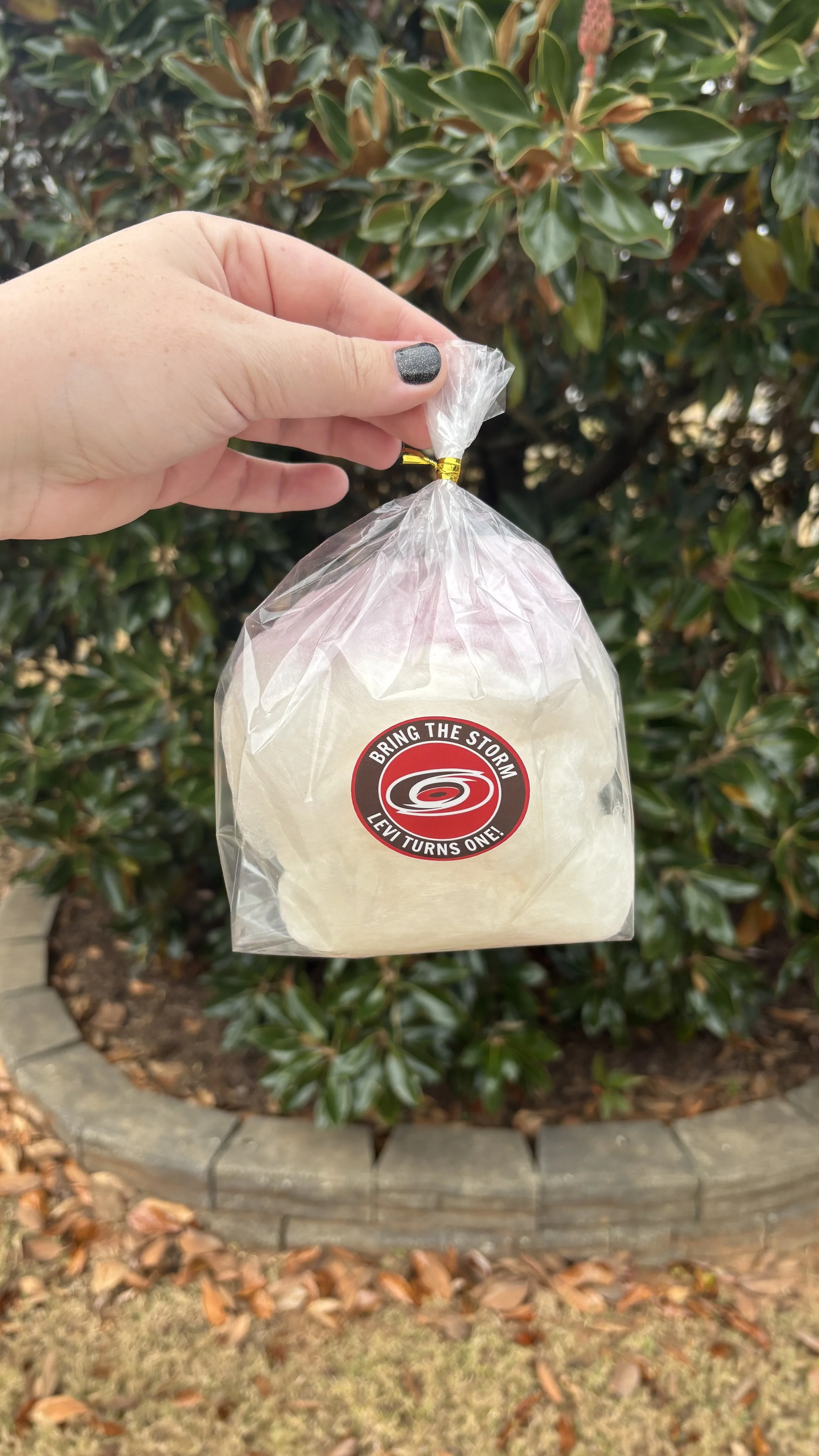 A hand holding a clear plastic bag containing a single snowball, with a red and black sticker that reads "Bring the Storm, Levi Turns One!" The background features green bushes and a brick-edged garden bed with fallen leaves.
