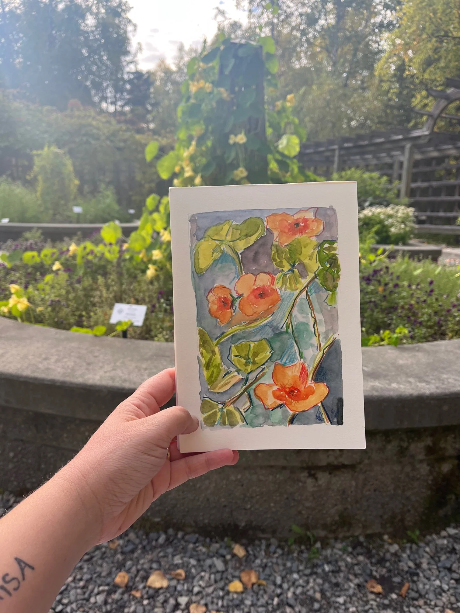 Nature Journaling at ABG.jpg