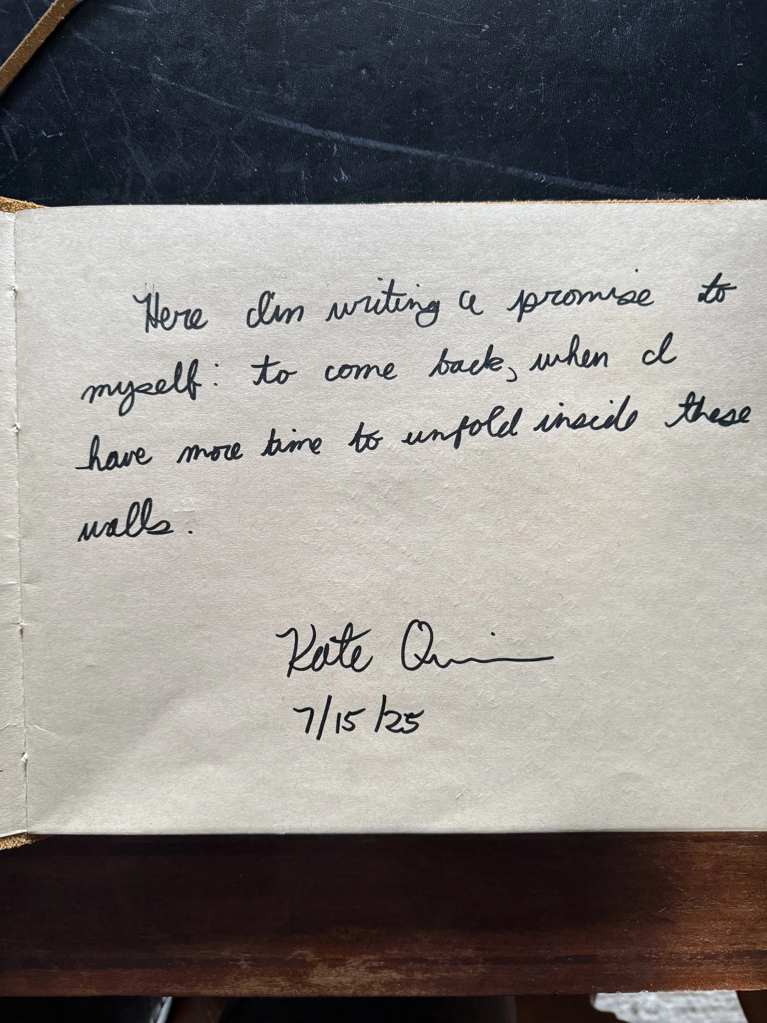 kate quinn · novelist