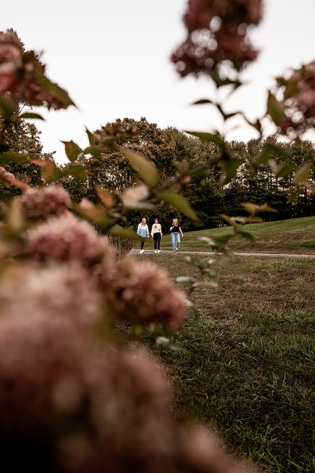 Three women walking along a park path, framed by out-of-focus pink flowers in the foreground, trees in the background, and an overcast sky.