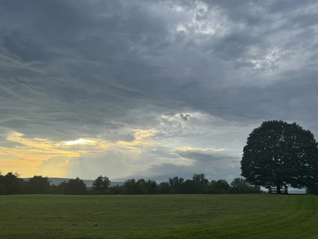 A wide open grassy field with a large tree on the right side, a line of trees in the distance, and a cloudy sky with some sunlight breaking through in the background.