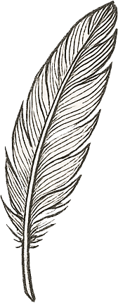 A detailed black and white illustration of a feather.