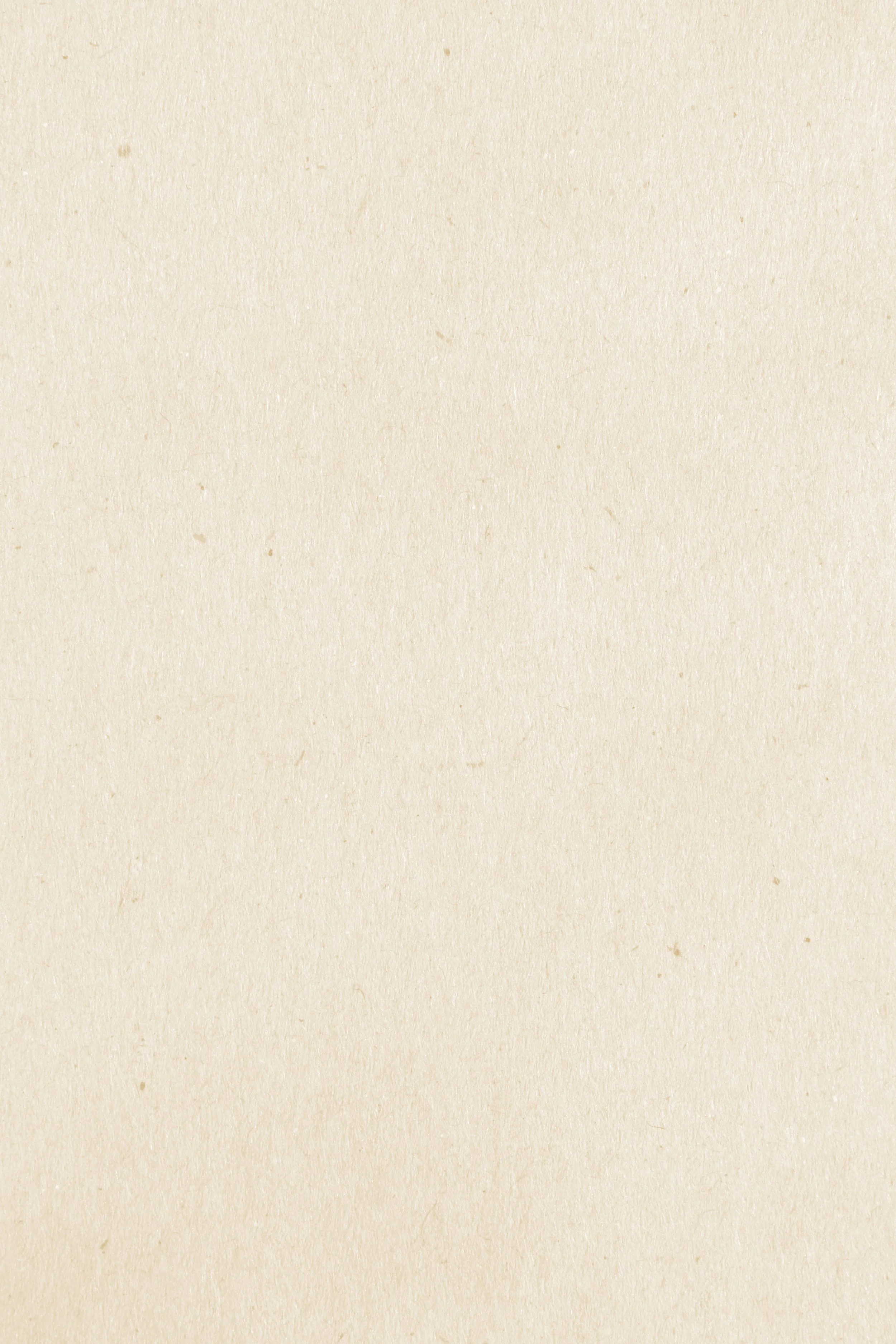 Blank, textured beige paper background.