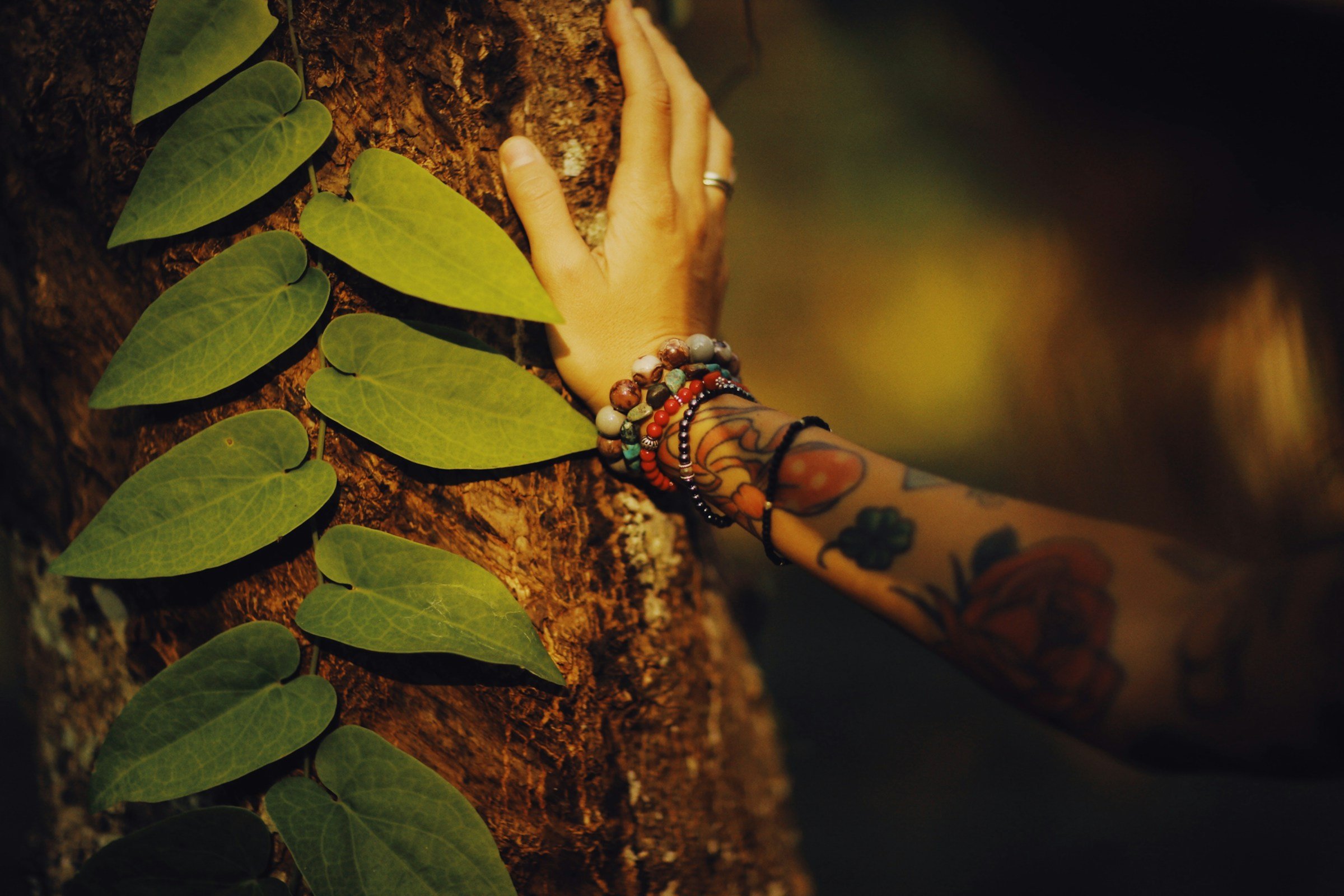 A hand with colorful bracelets and tattooed arm reaches towards a tree trunk with green heart-shaped leaves growing along the bark, in a dimly lit environment.