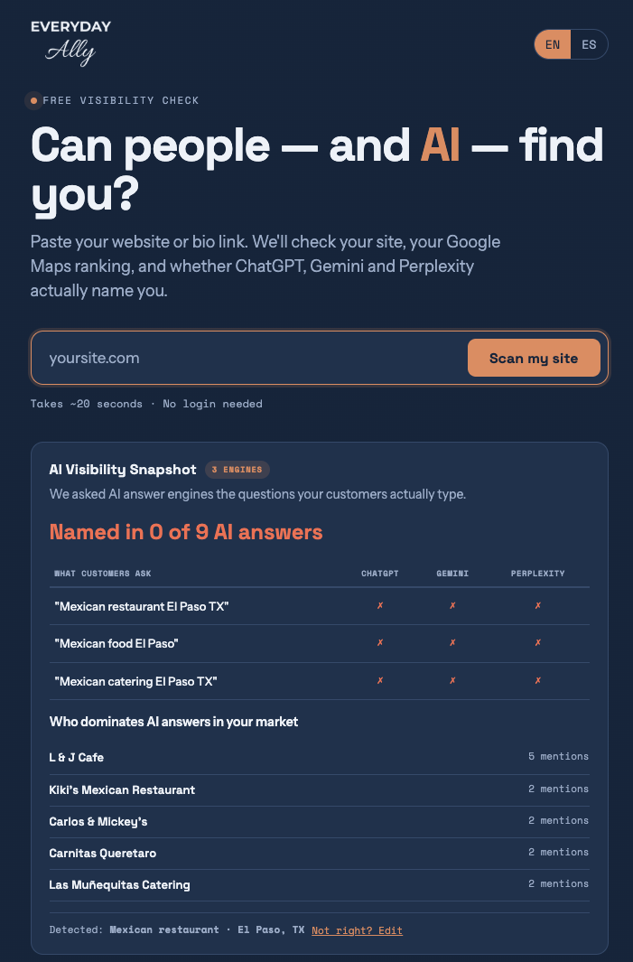 Everyday Ally AI and SEO Visibility Scan