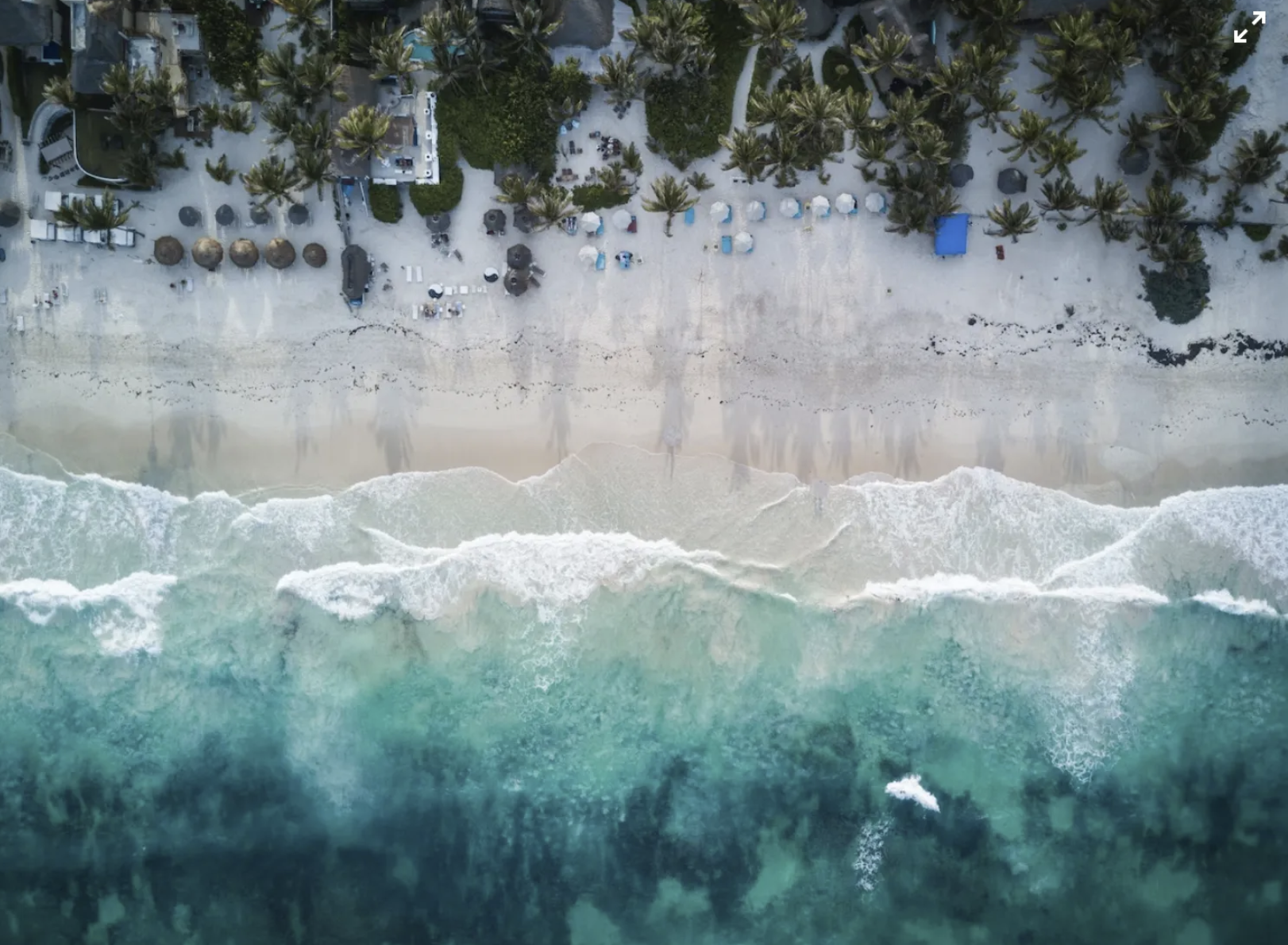 Benzo detox Oceanfront luxury