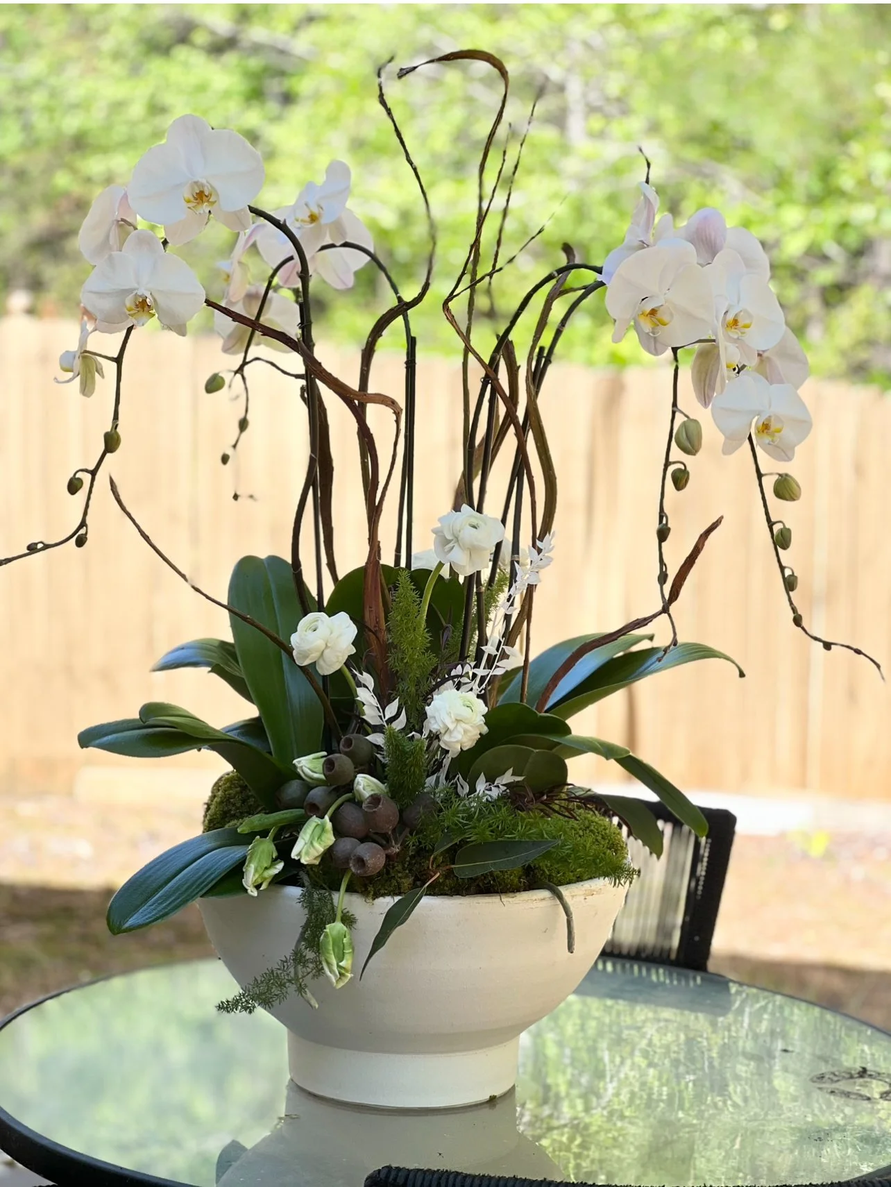 Orchid compositions