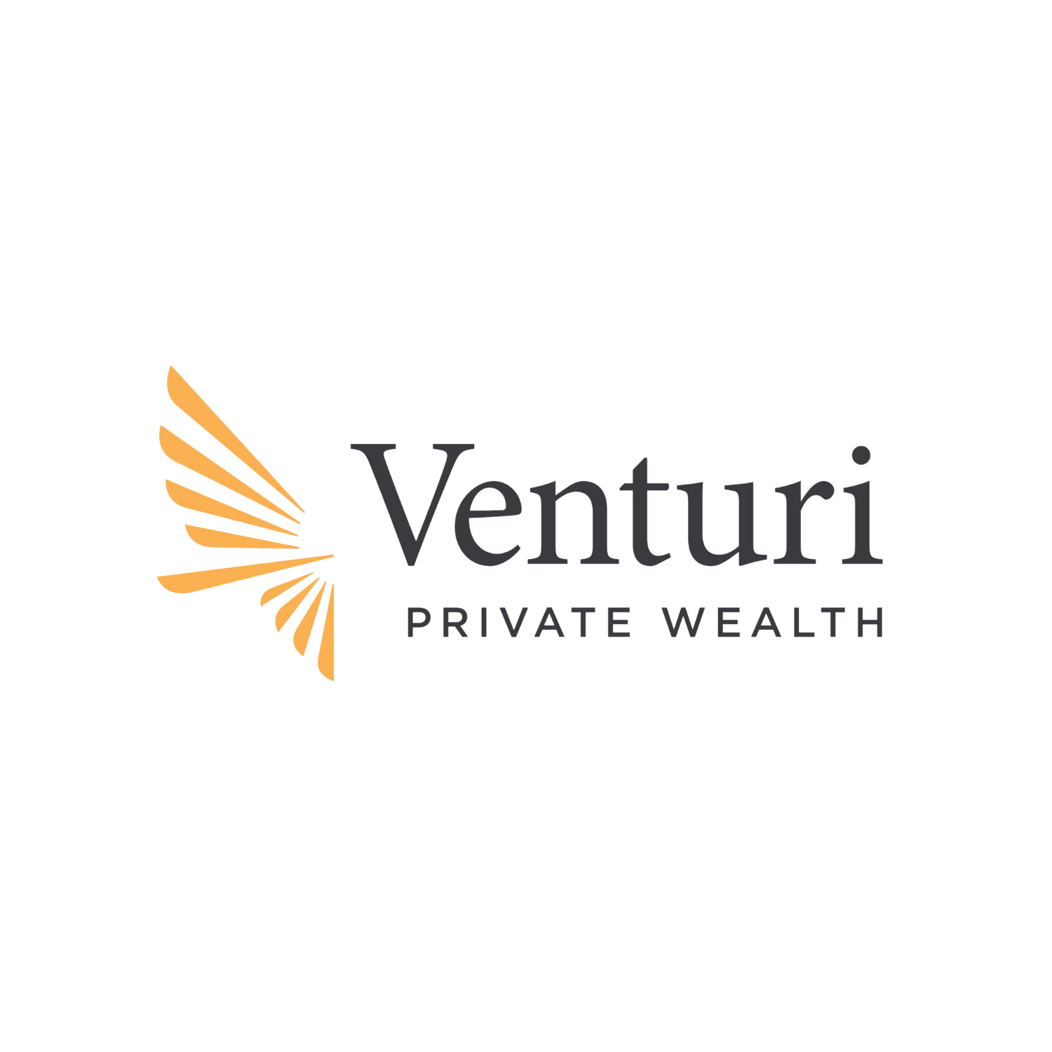 Venturi.png