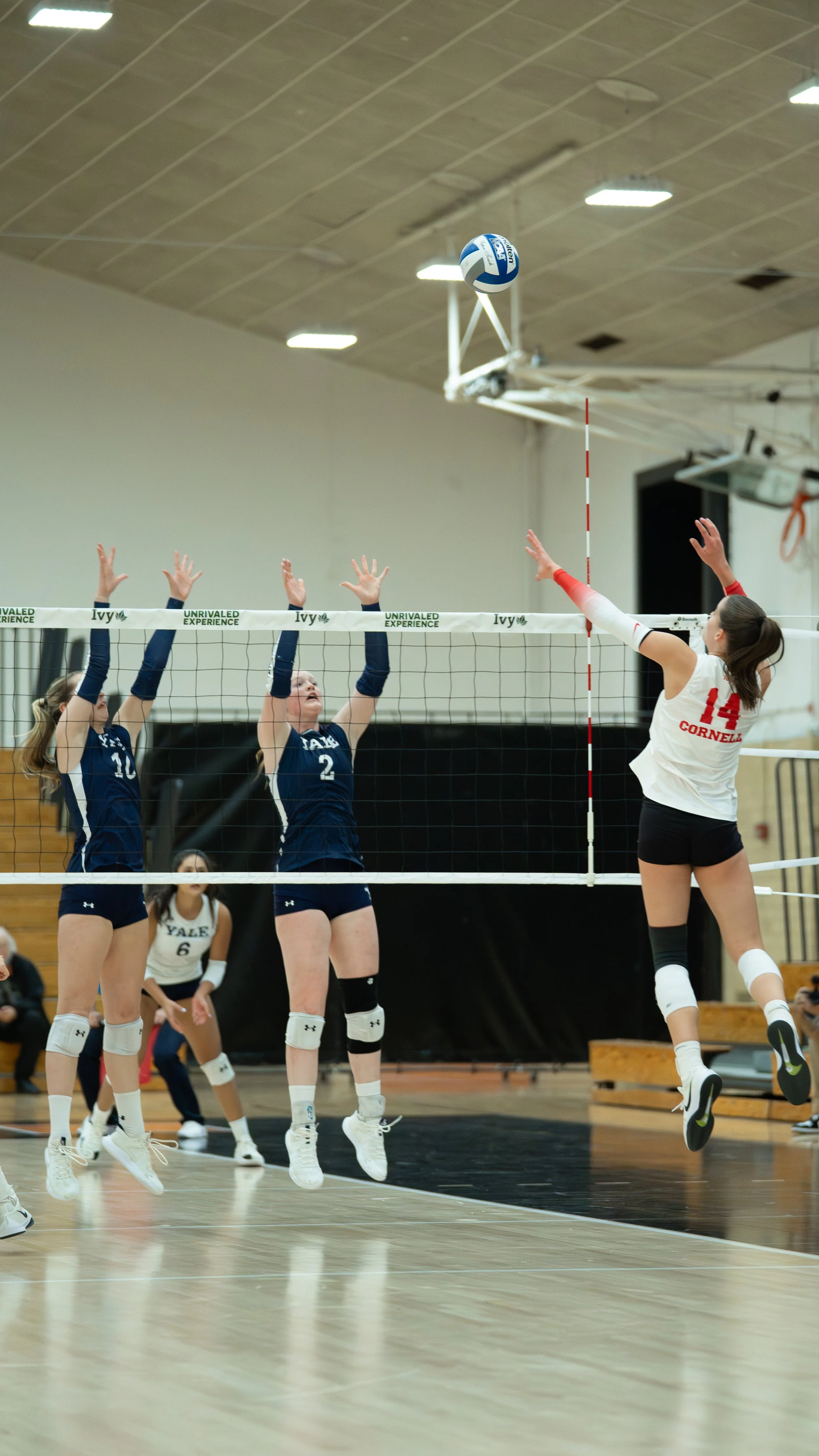 CapturesbyEmmie_CornellVolleyball_IvyTourney_11.202507624.jpg